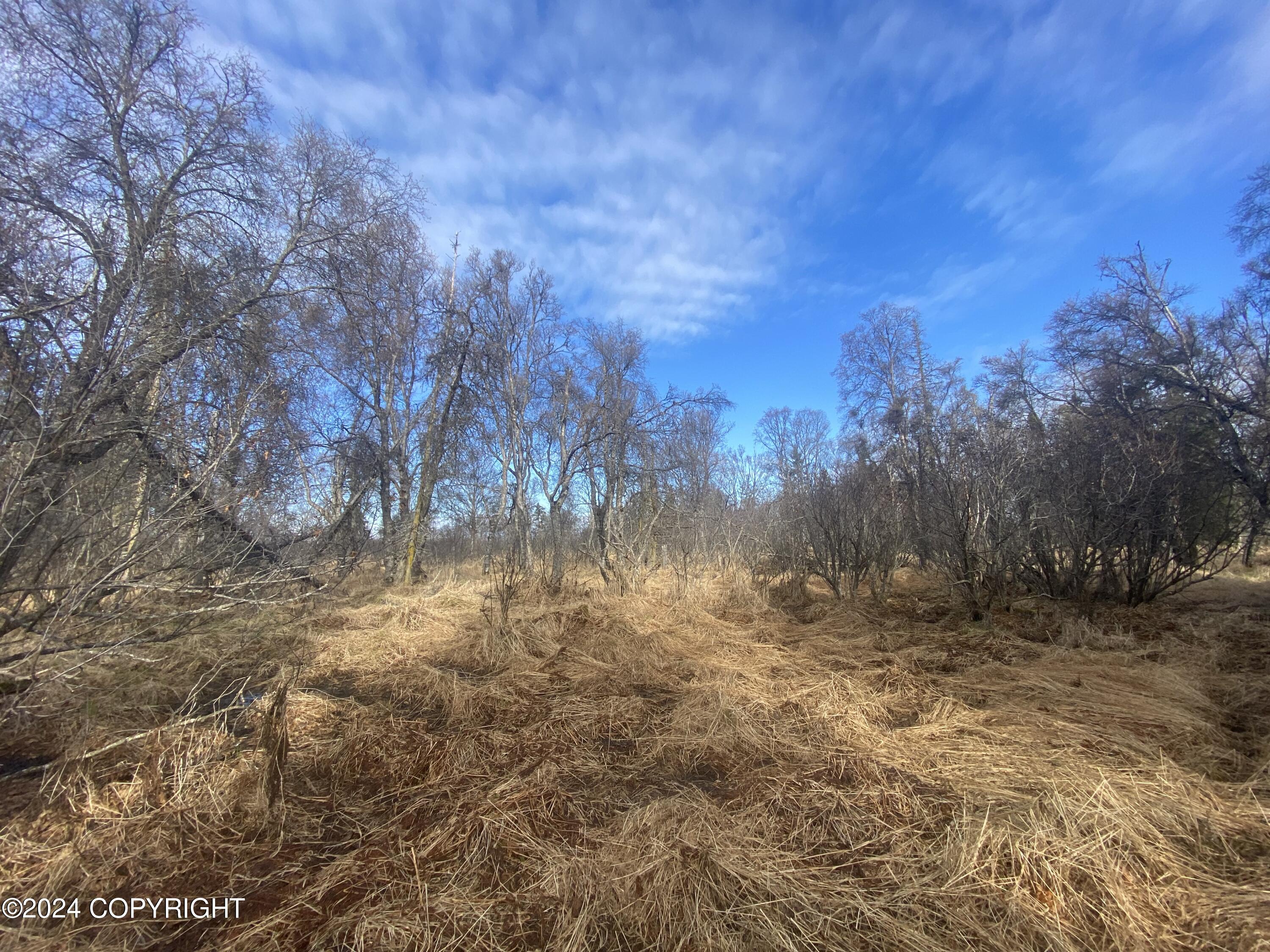 72380 Sterling Highway