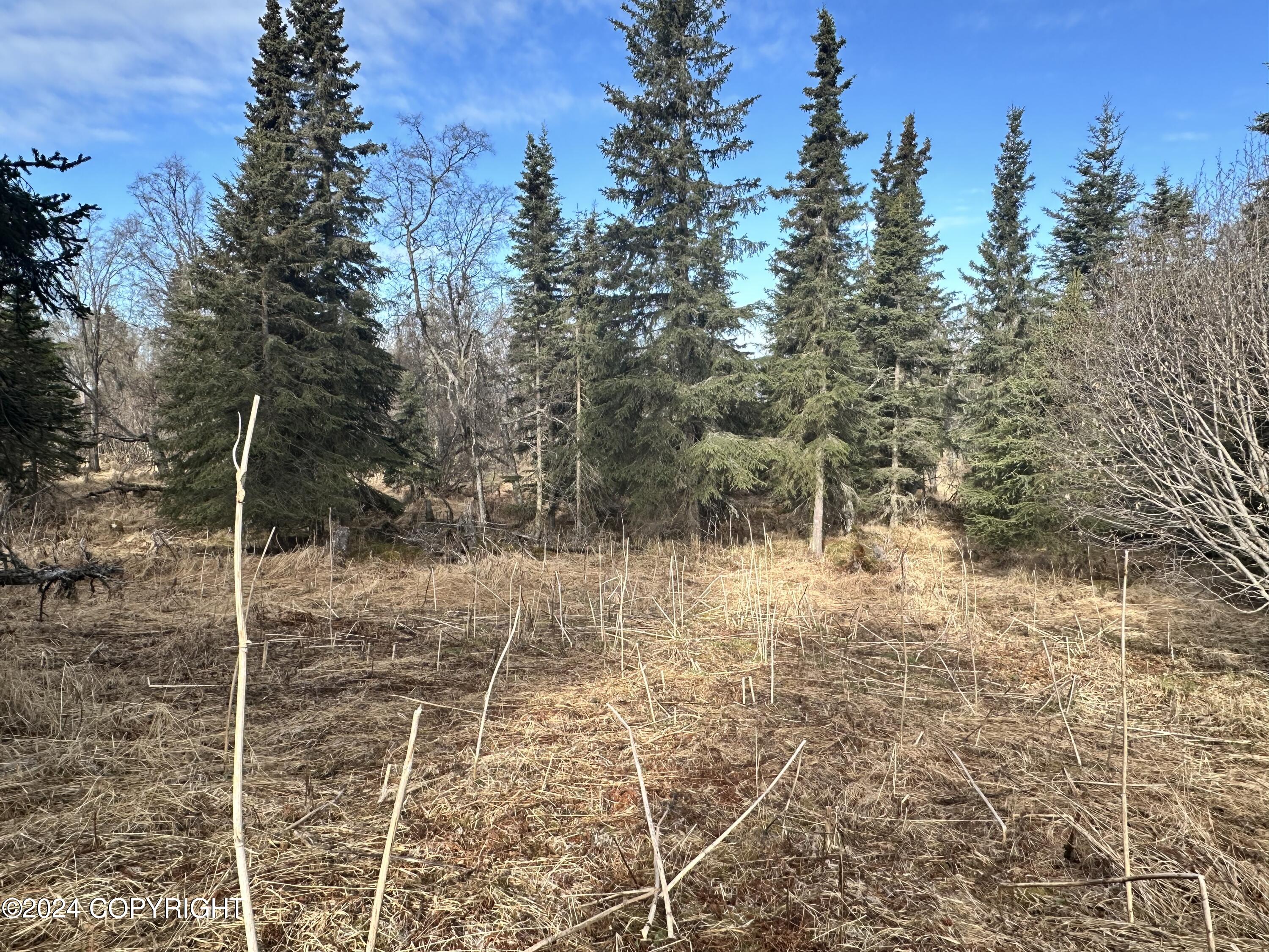 72380 Sterling Highway