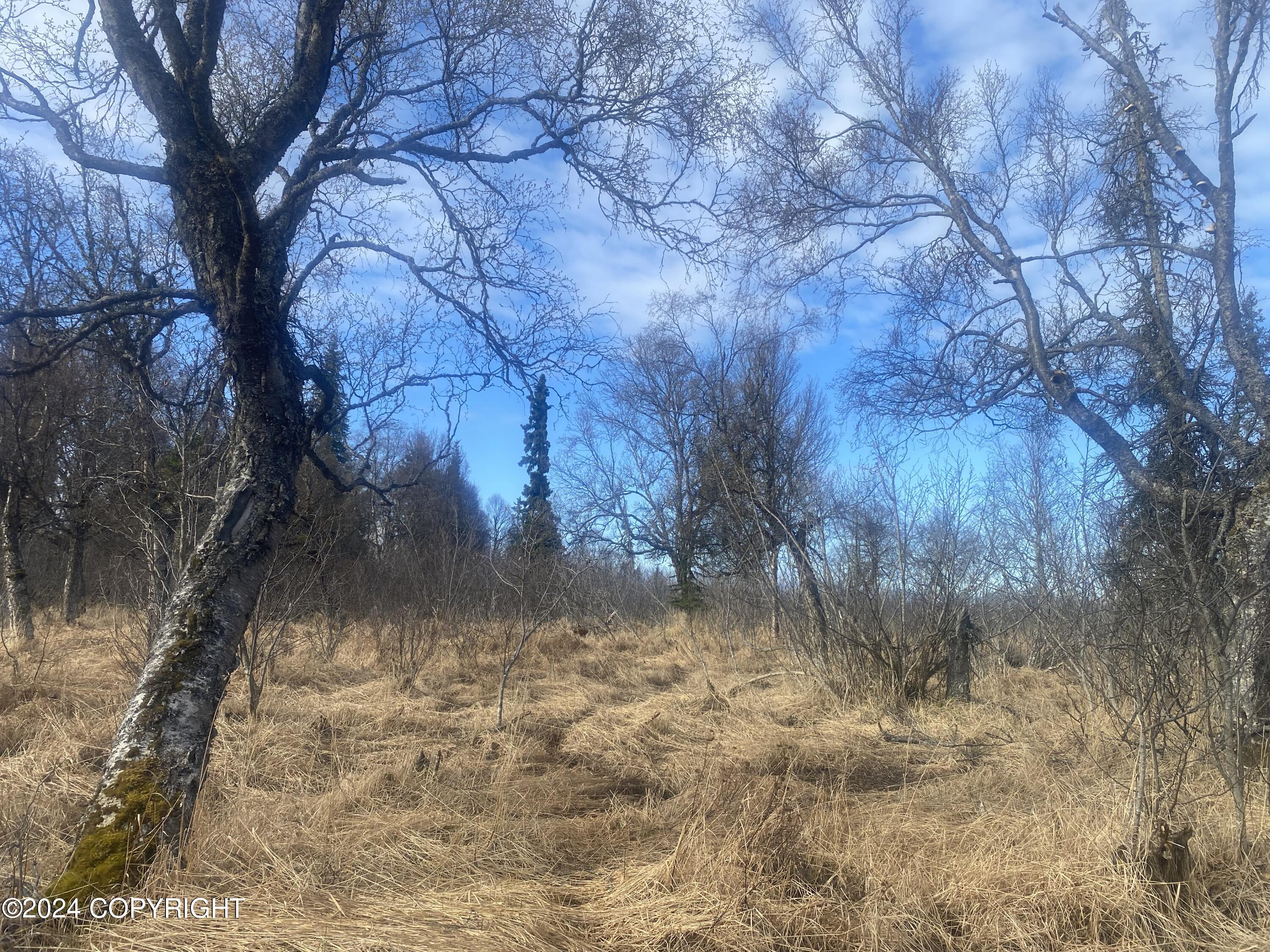 72380 Sterling Highway