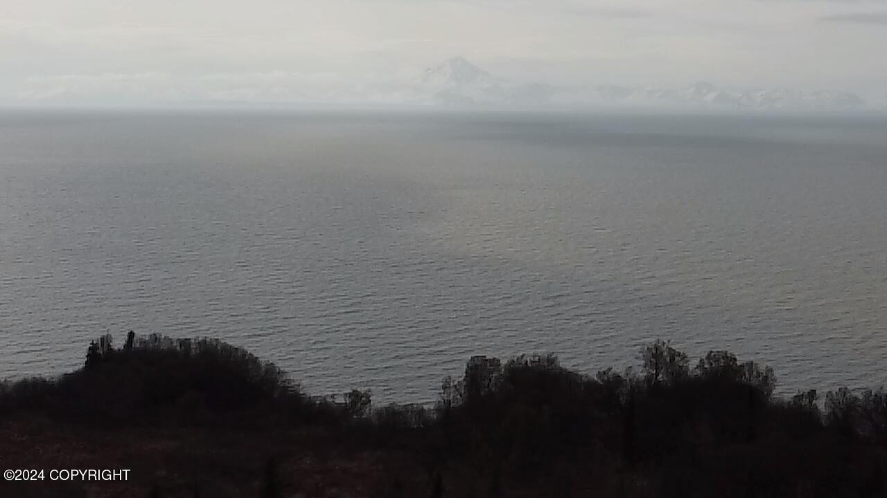 72380 Sterling Highway