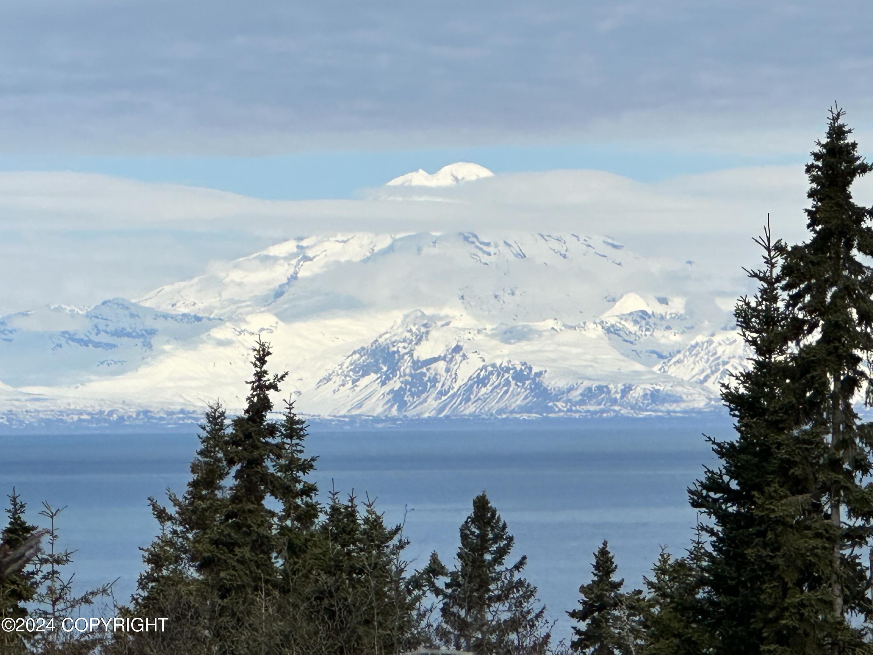 72380 Sterling Highway