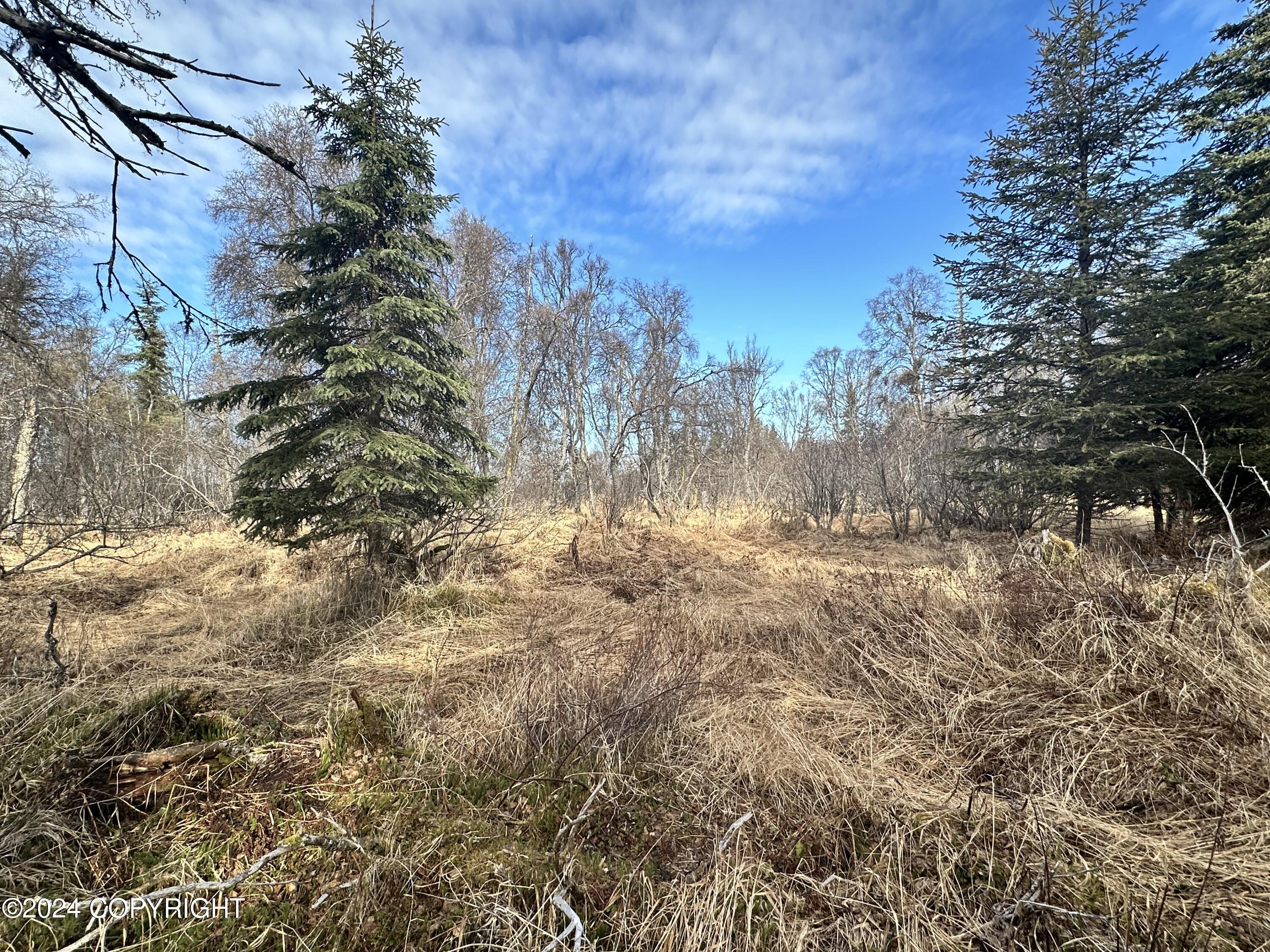 72380 Sterling Highway