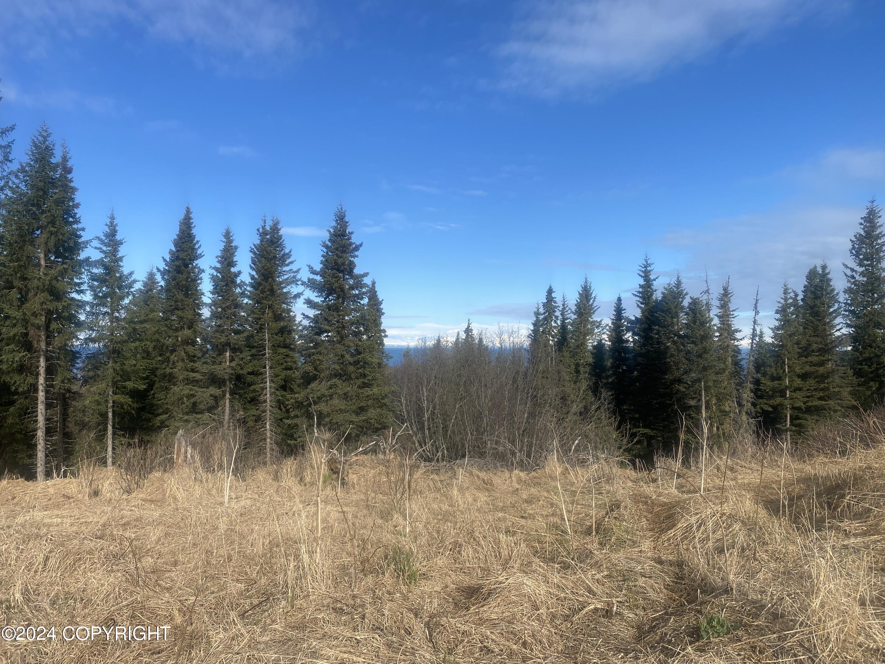 72380 Sterling Highway