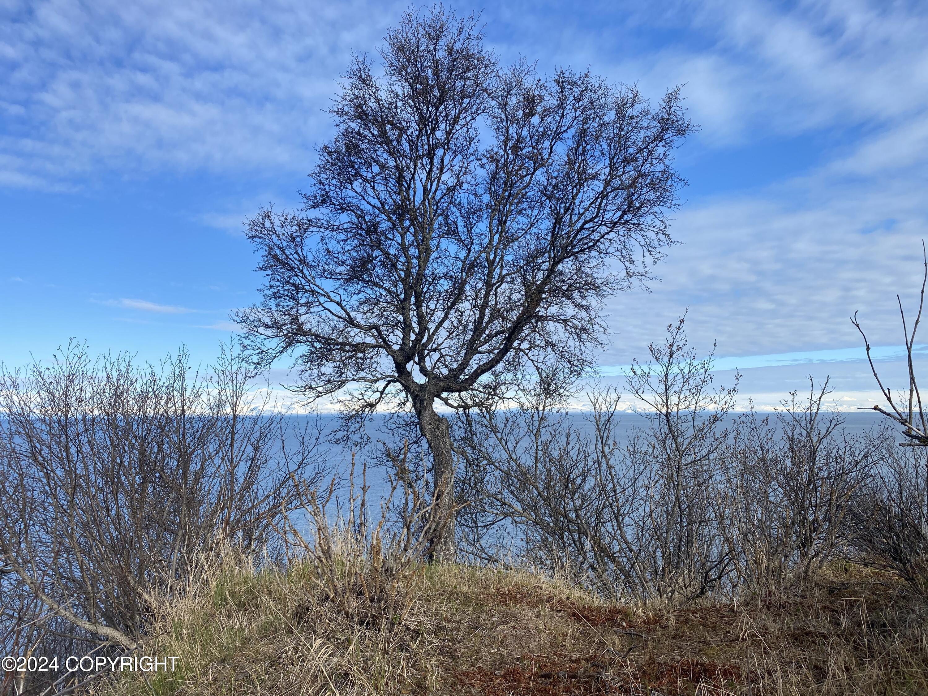 72380 Sterling Highway