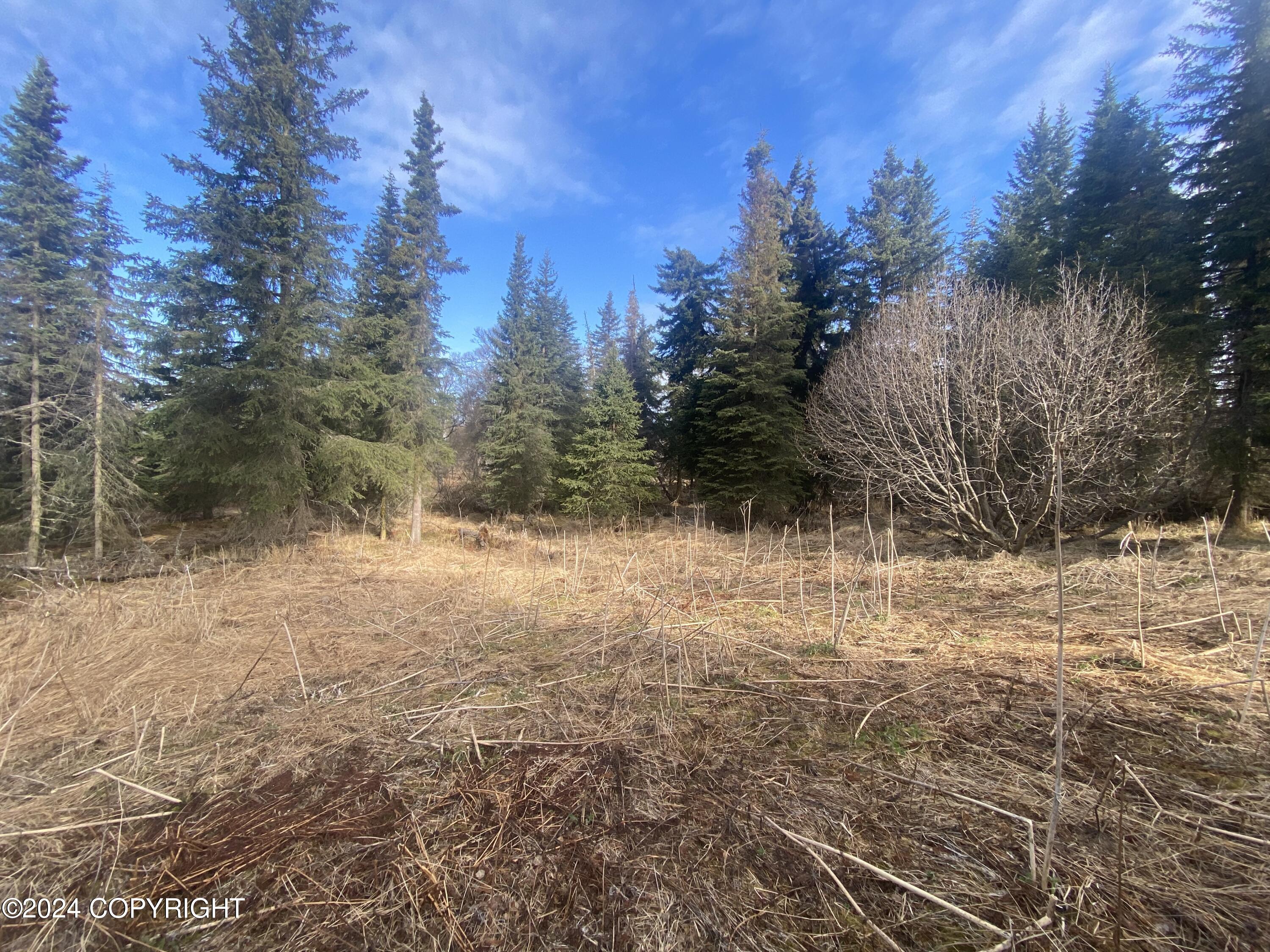 72380 Sterling Highway