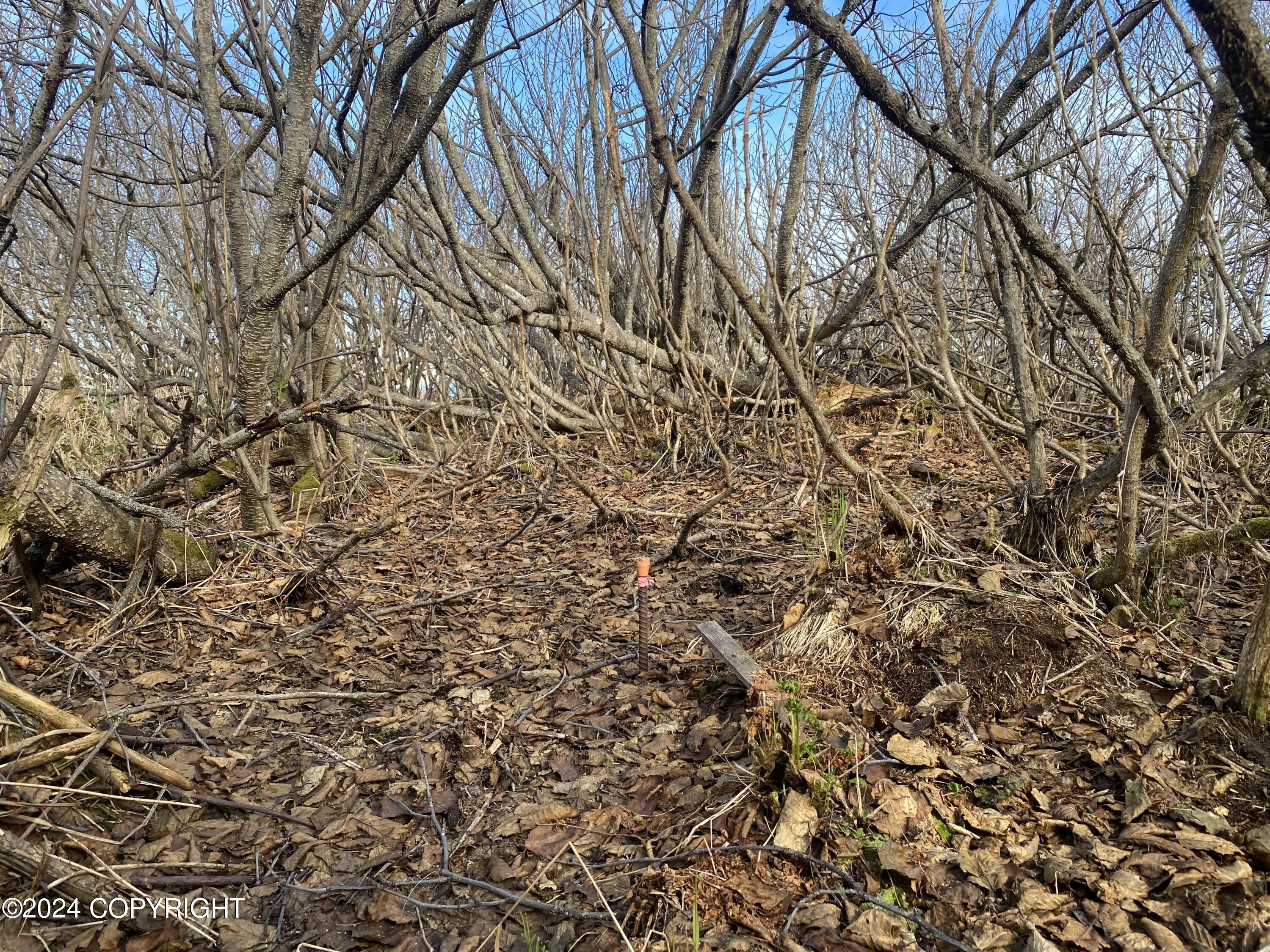 72380 Sterling Highway