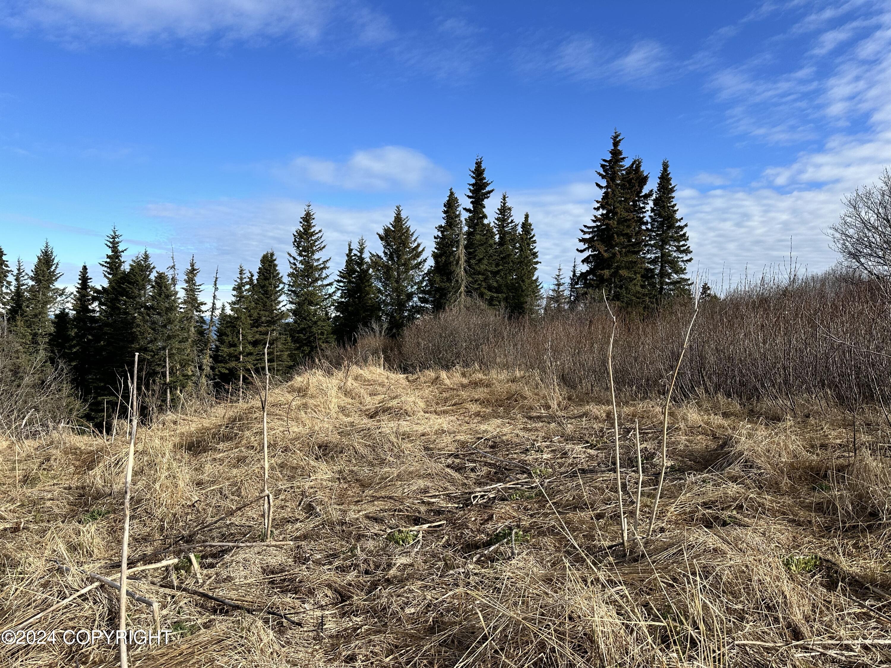 72380 Sterling Highway