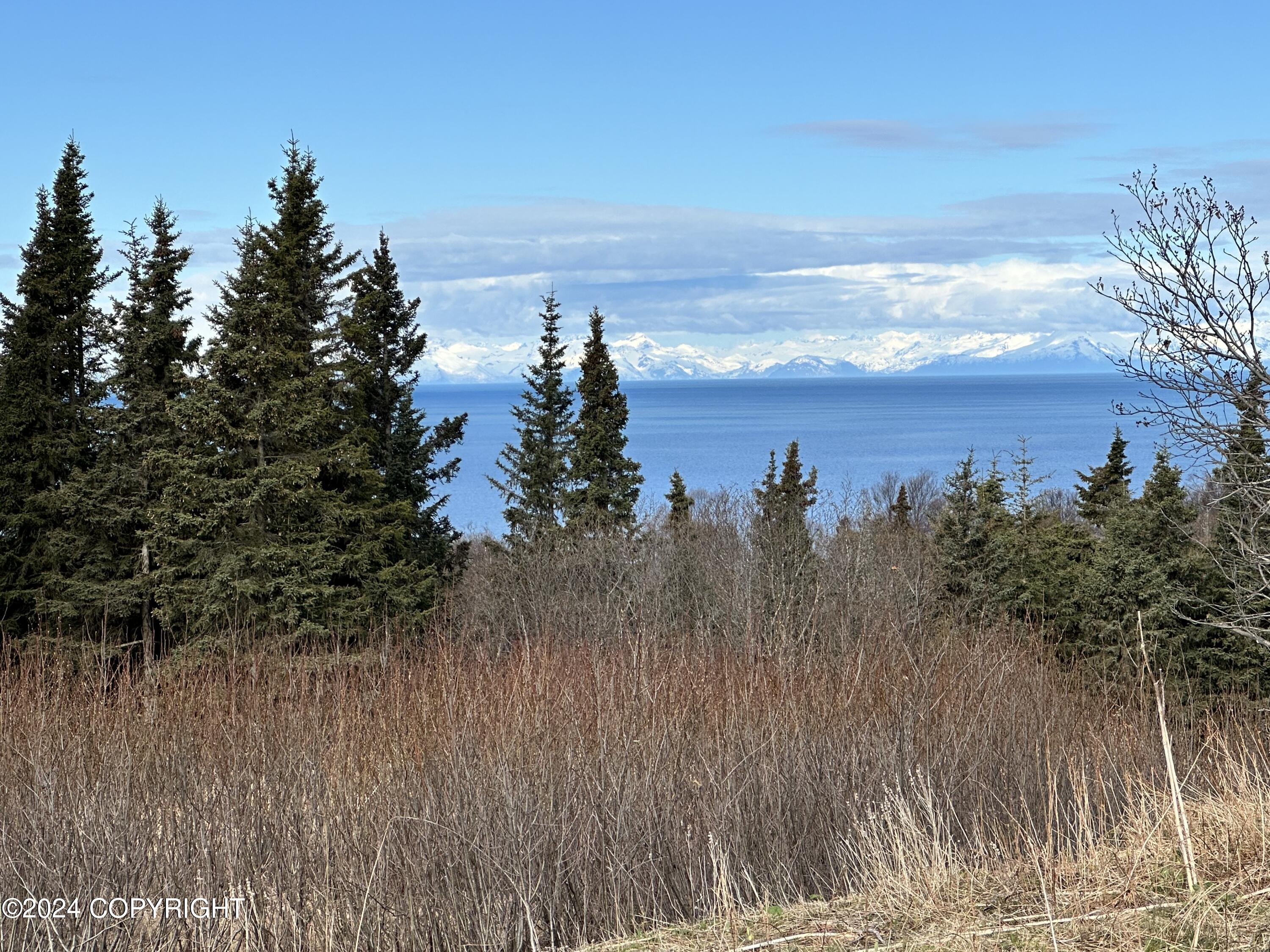 72380 Sterling Highway