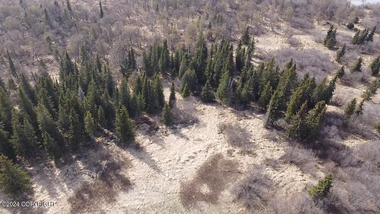 72380 Sterling Highway