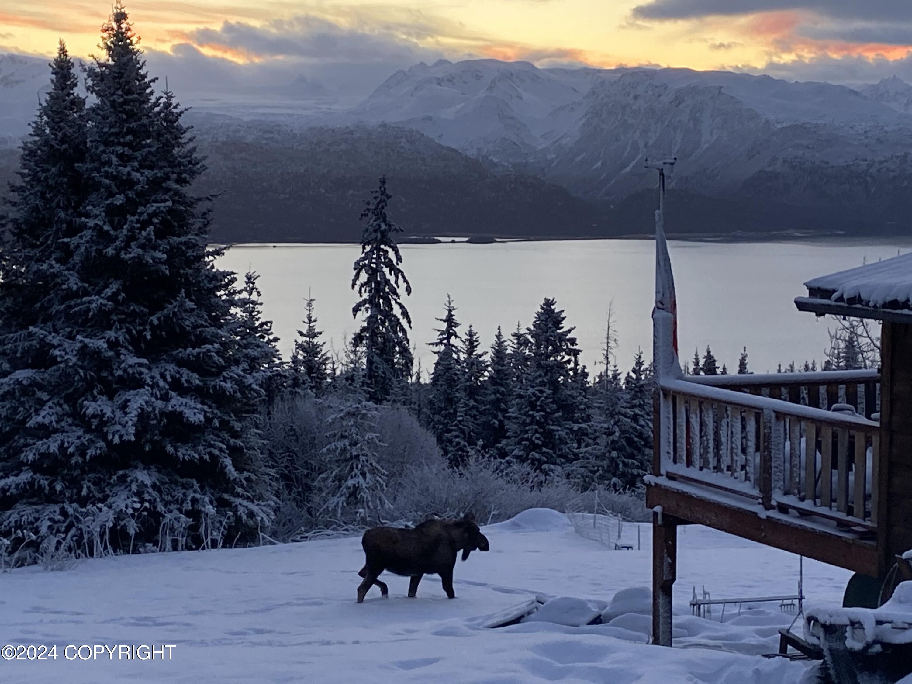 51305 Raven Canyon Court