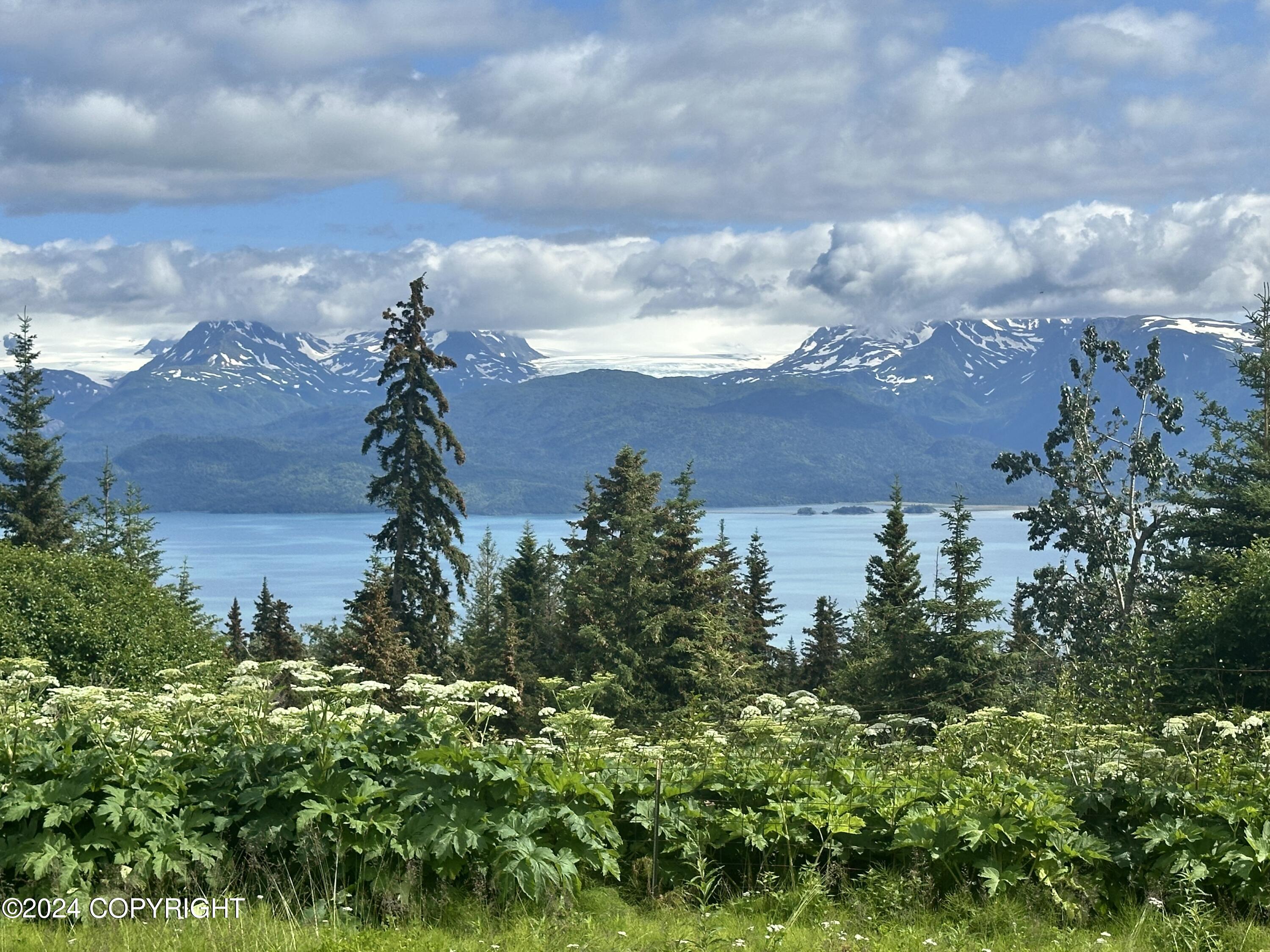 51305 Raven Canyon Court