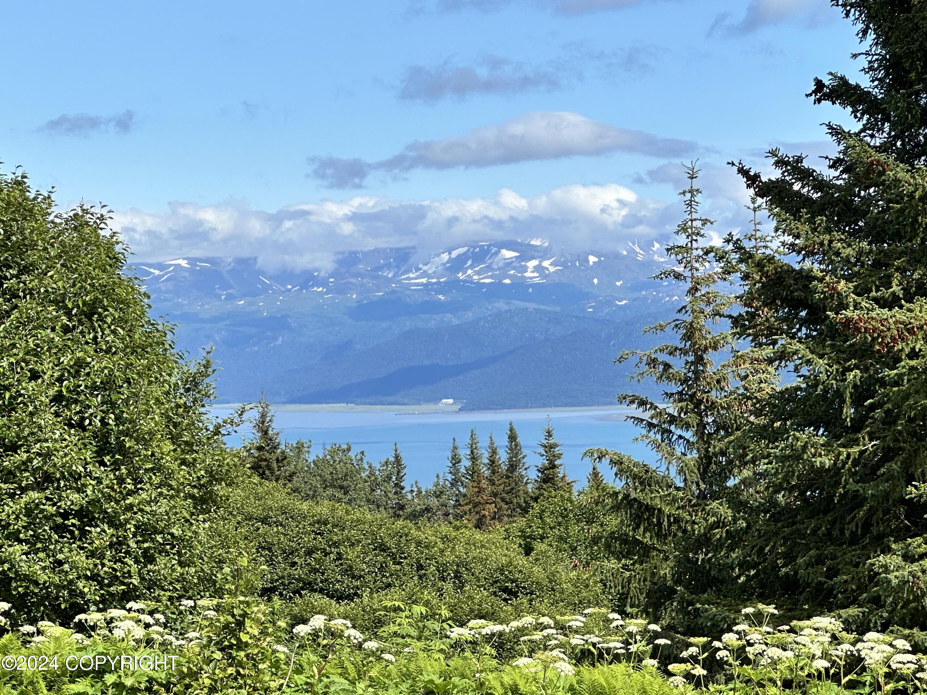 51305 Raven Canyon Court