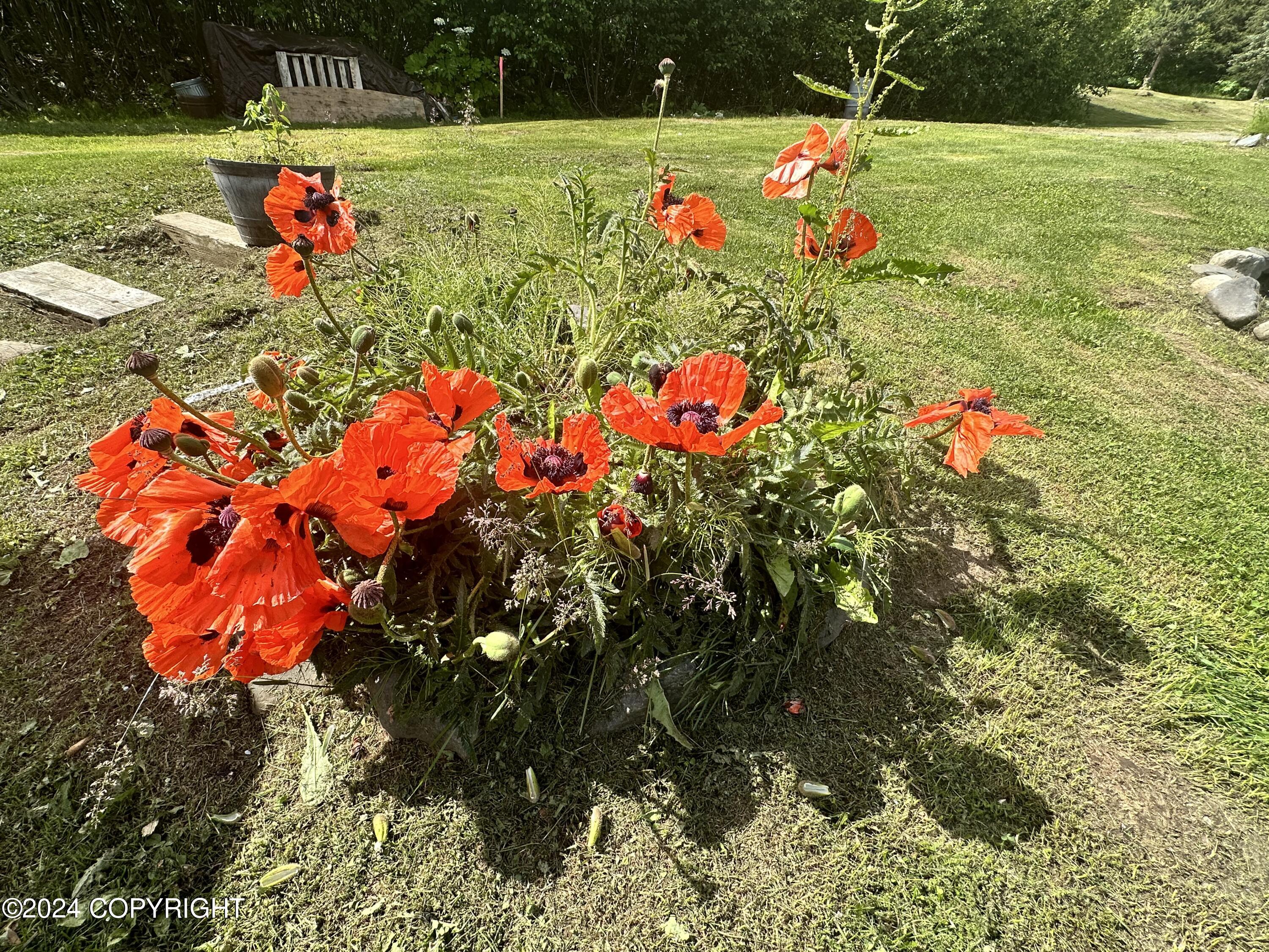 51305 Raven Canyon Court