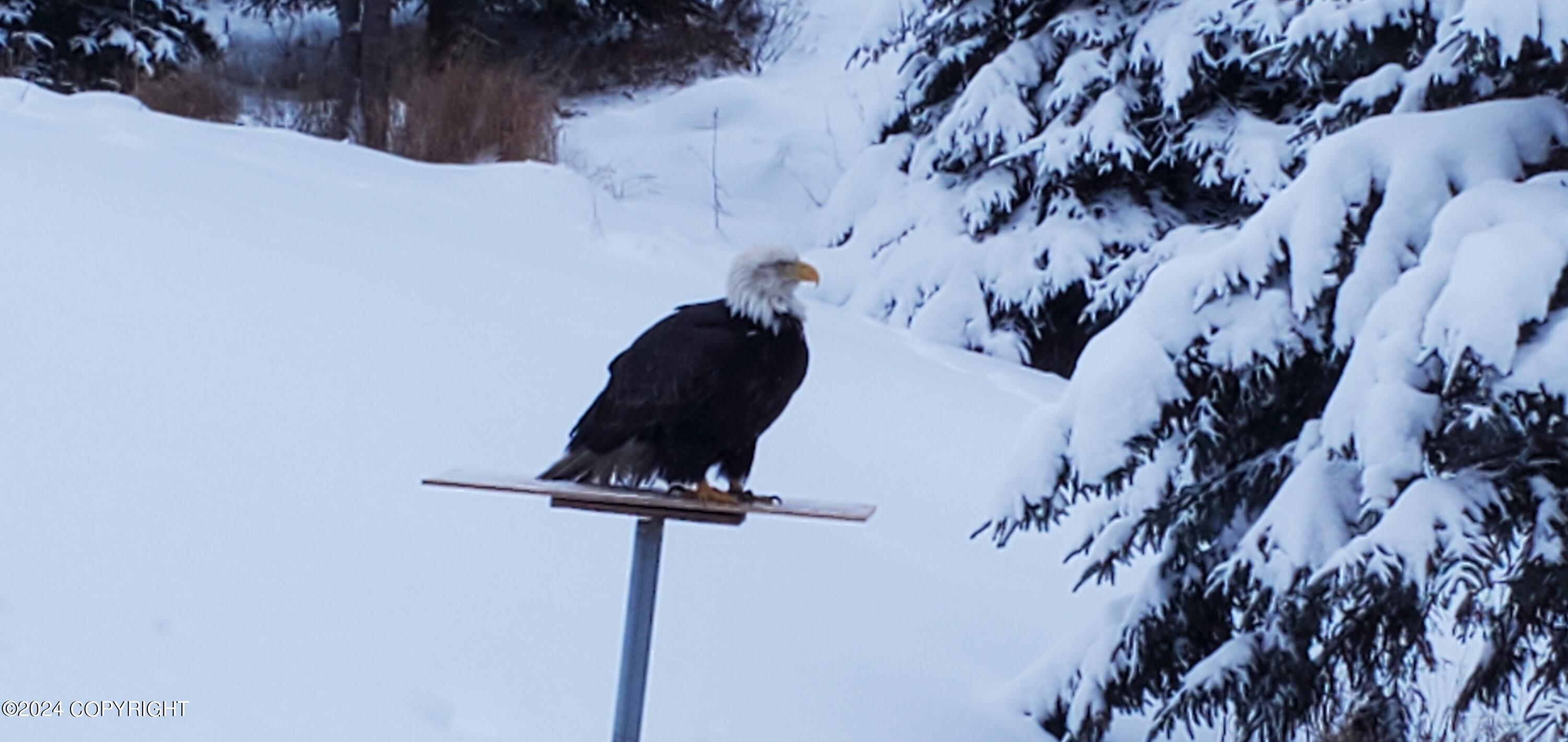 57509 Clam Diggers Avenue