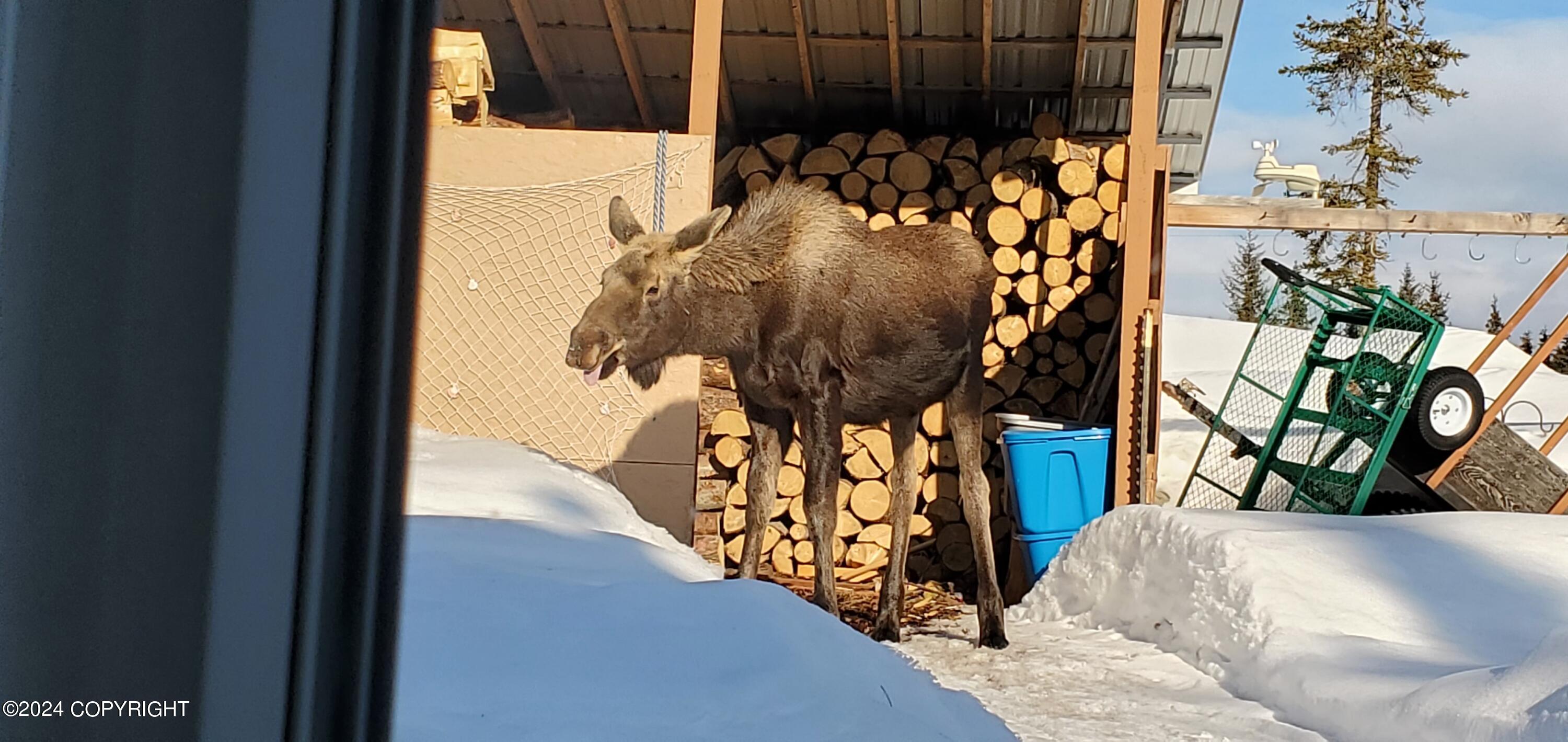 57509 Clam Diggers Avenue