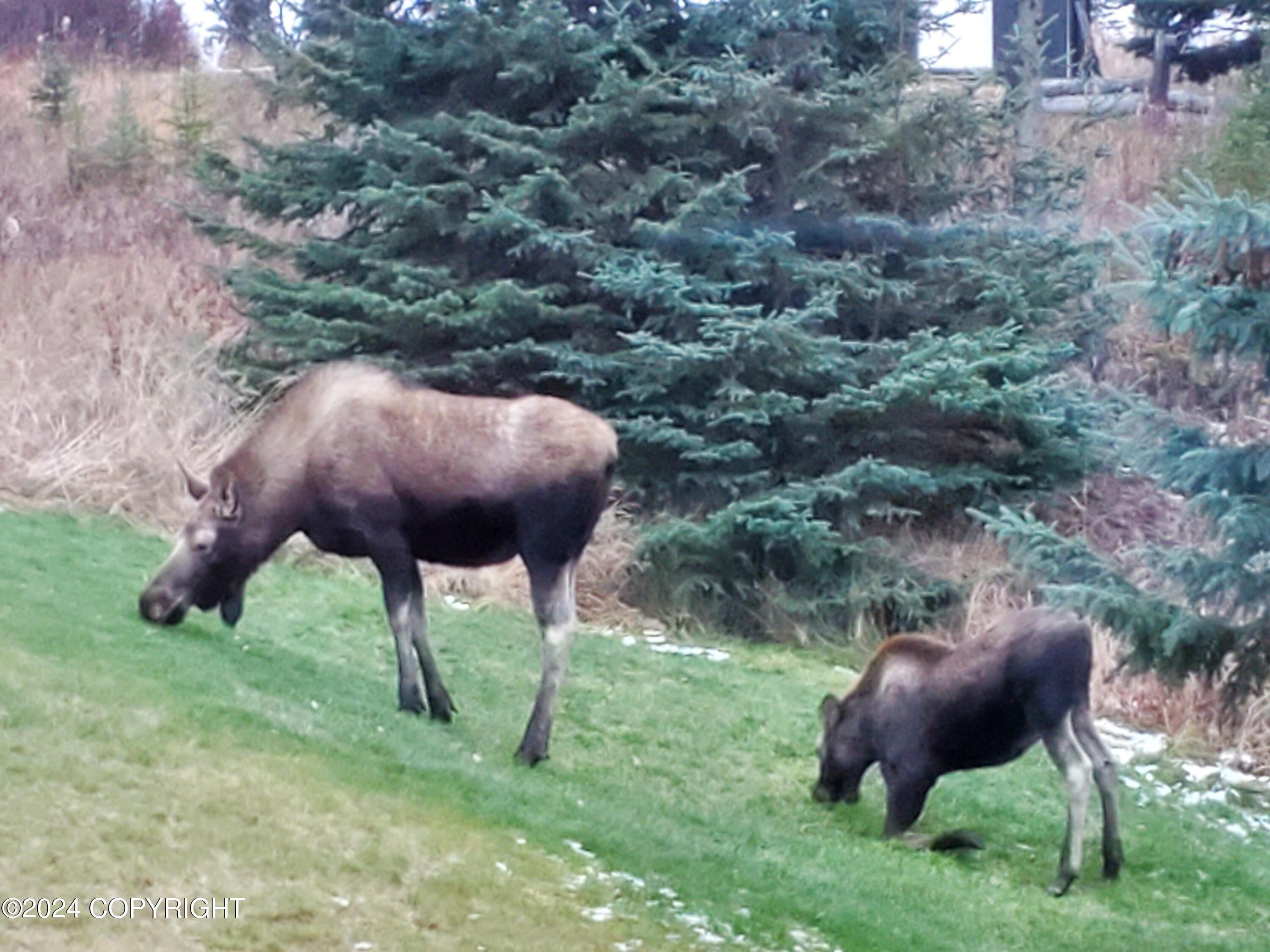 57509 Clam Diggers Avenue