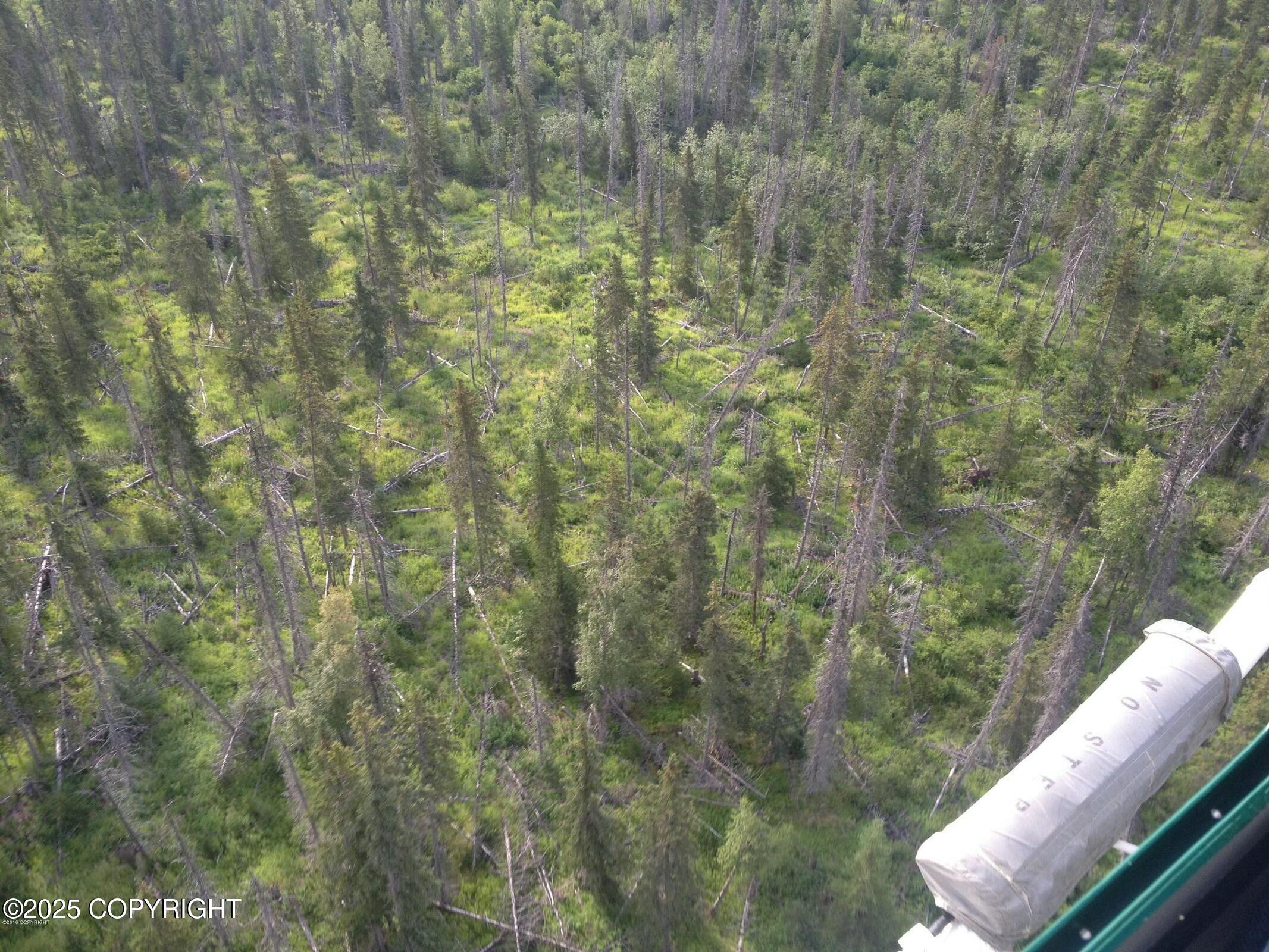 Tr C Caribou Lake Trail