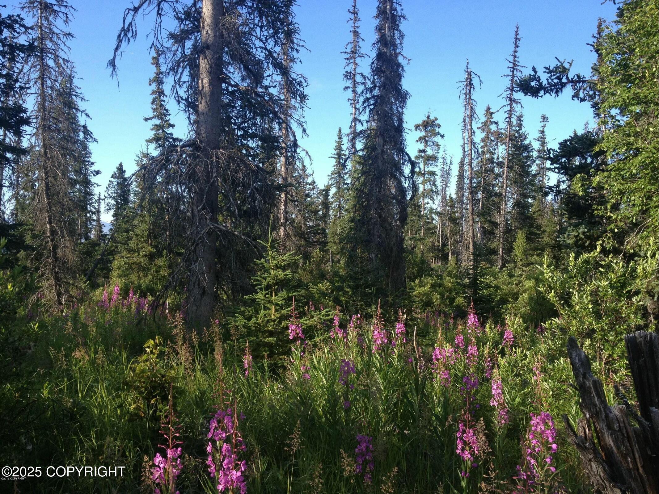 Tr C Caribou Lake Trail