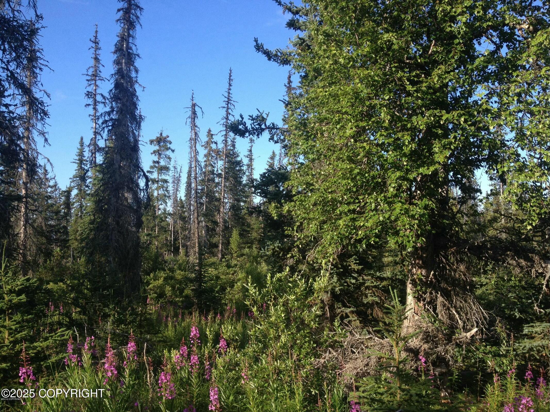 Tr C Caribou Lake Trail