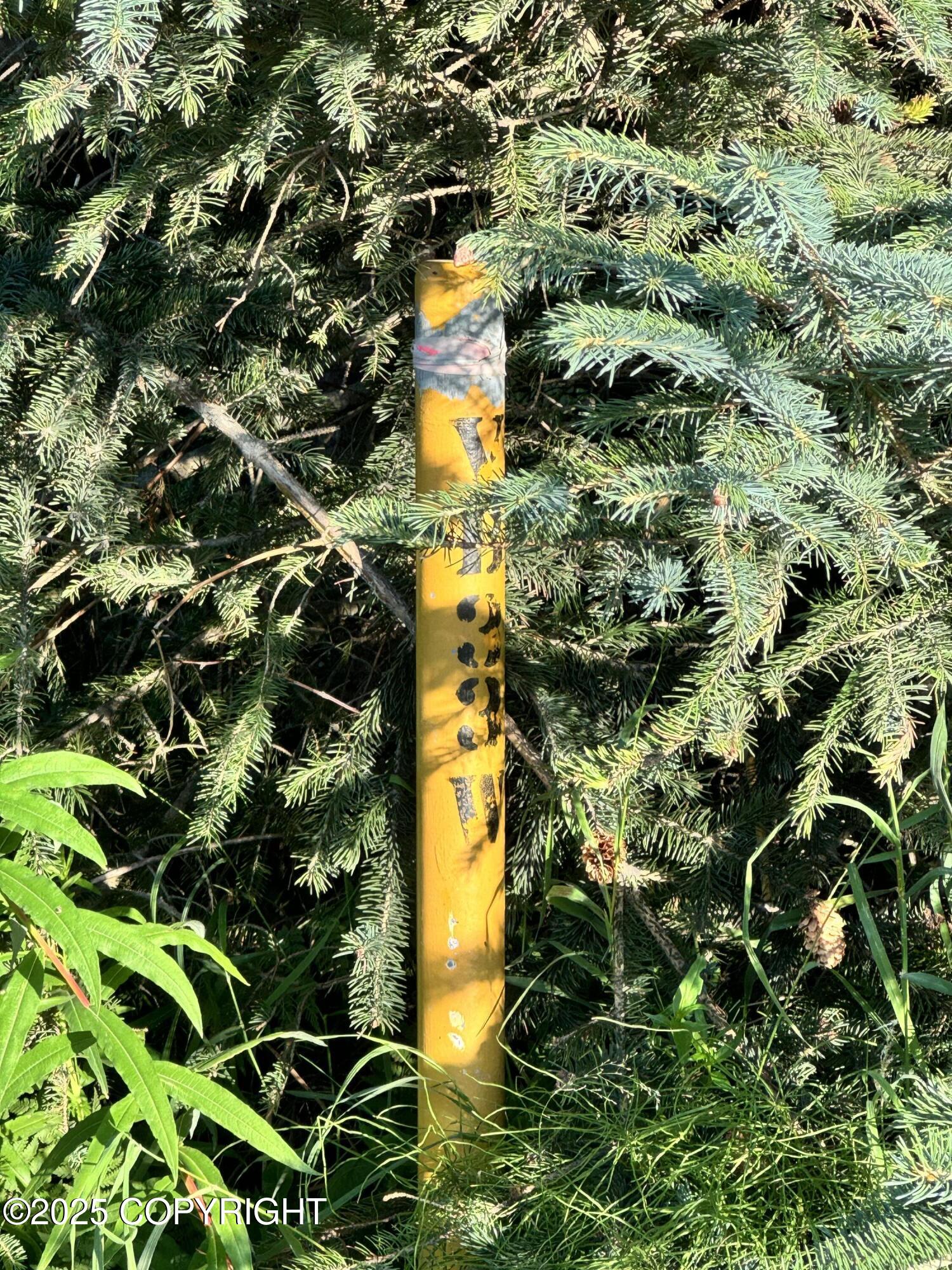 945 Soundview Avenue