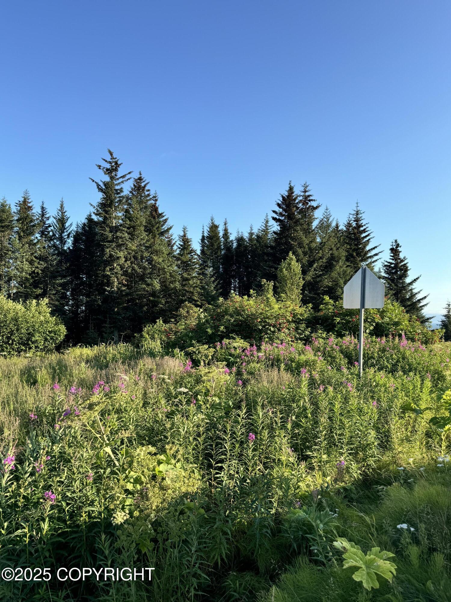 945 Soundview Avenue