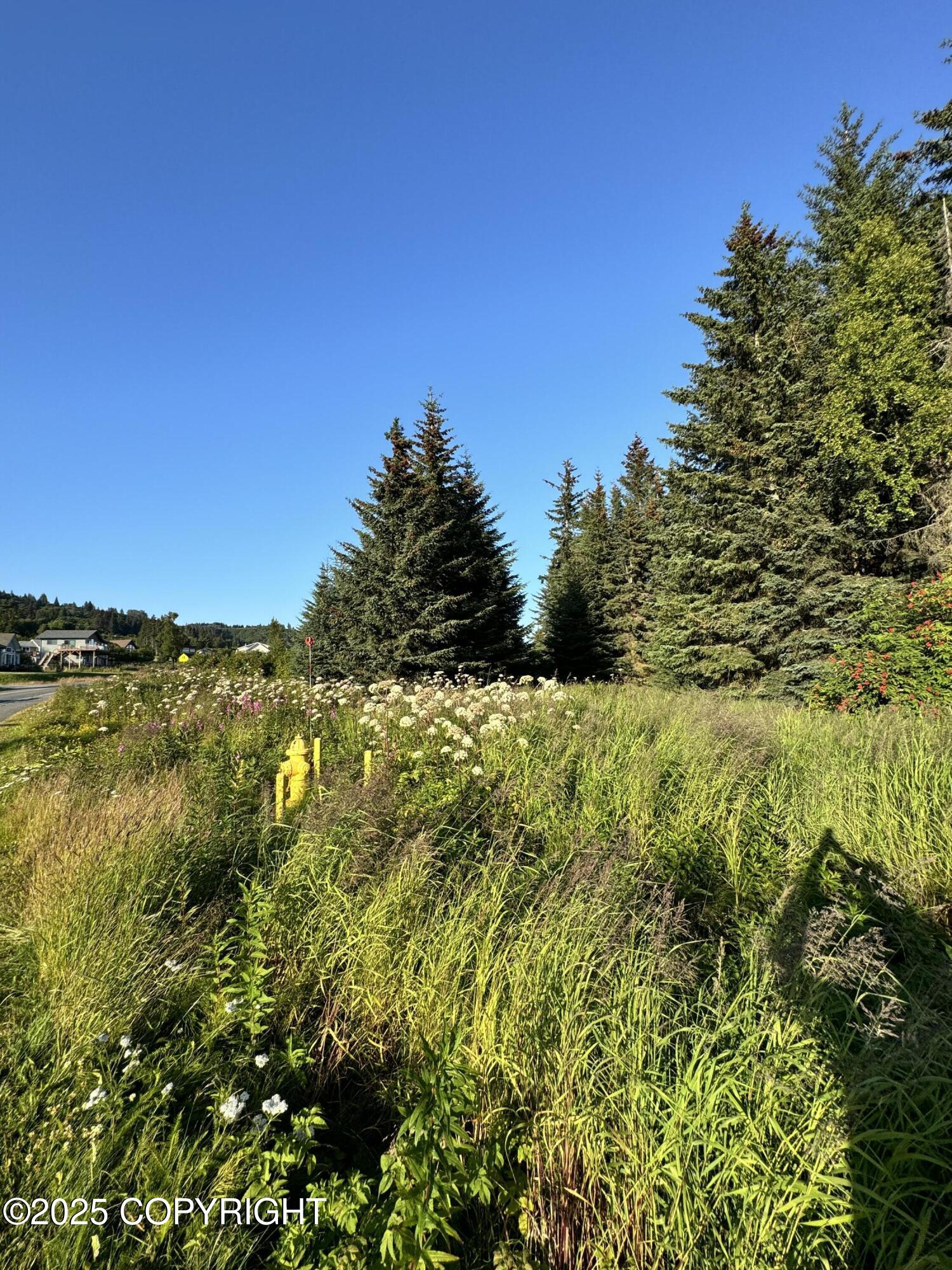 945 Soundview Avenue