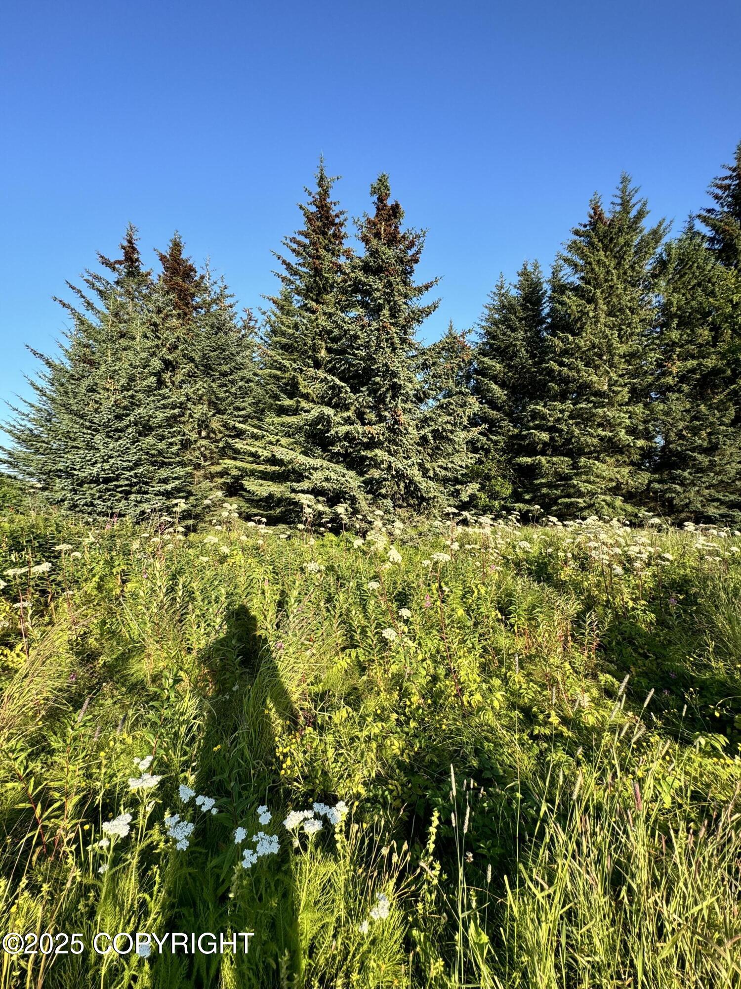 945 Soundview Avenue