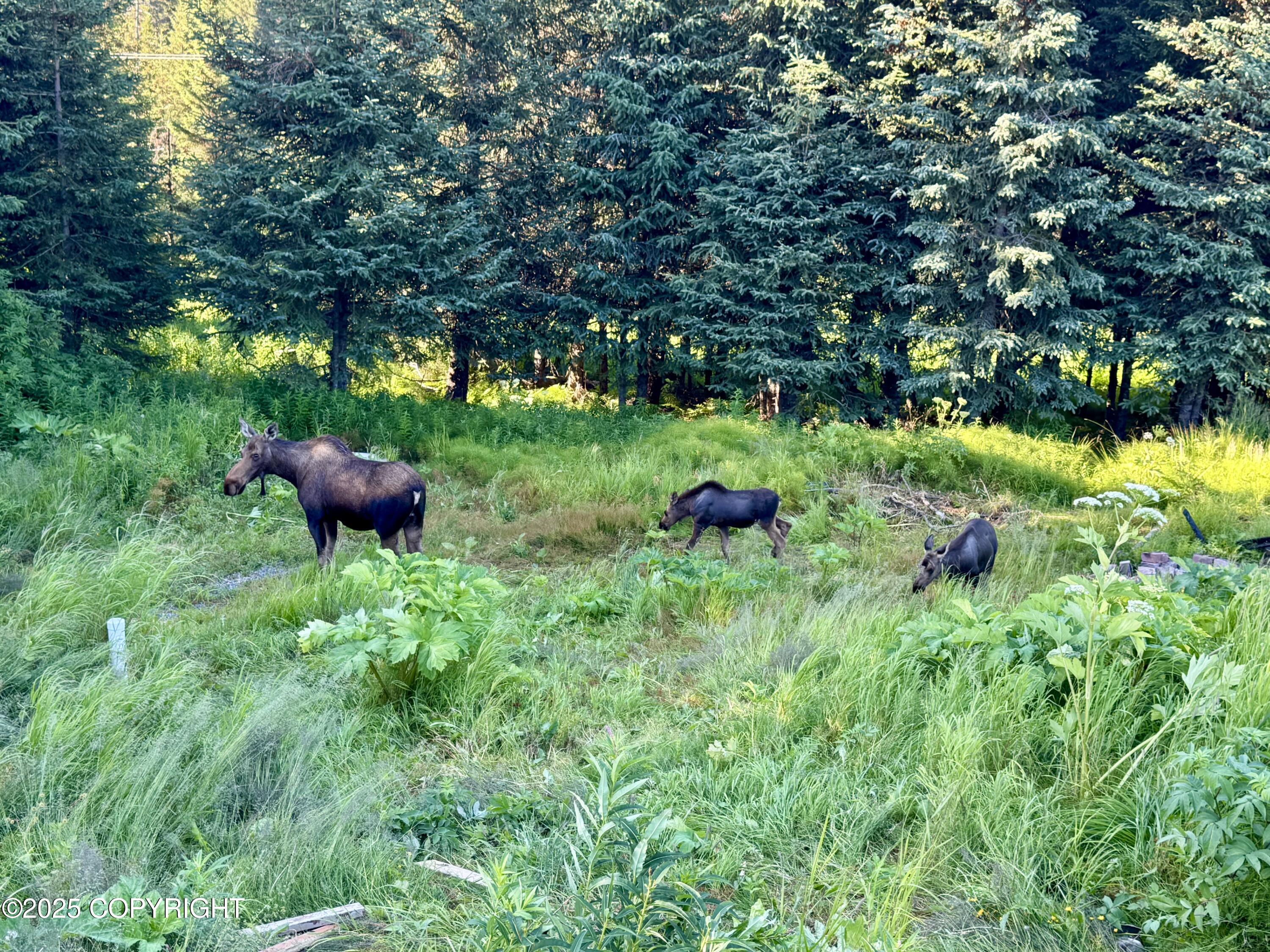 415 Crestwood Circle