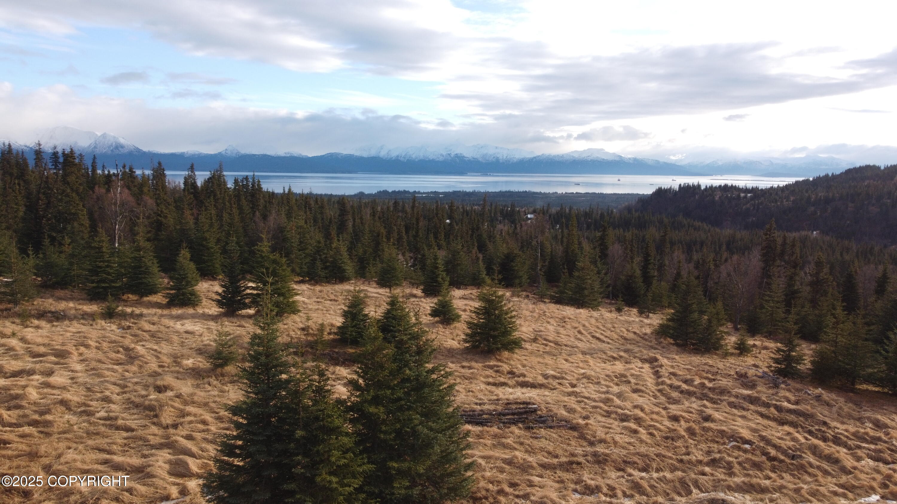 55675 W Benjamin Avenue