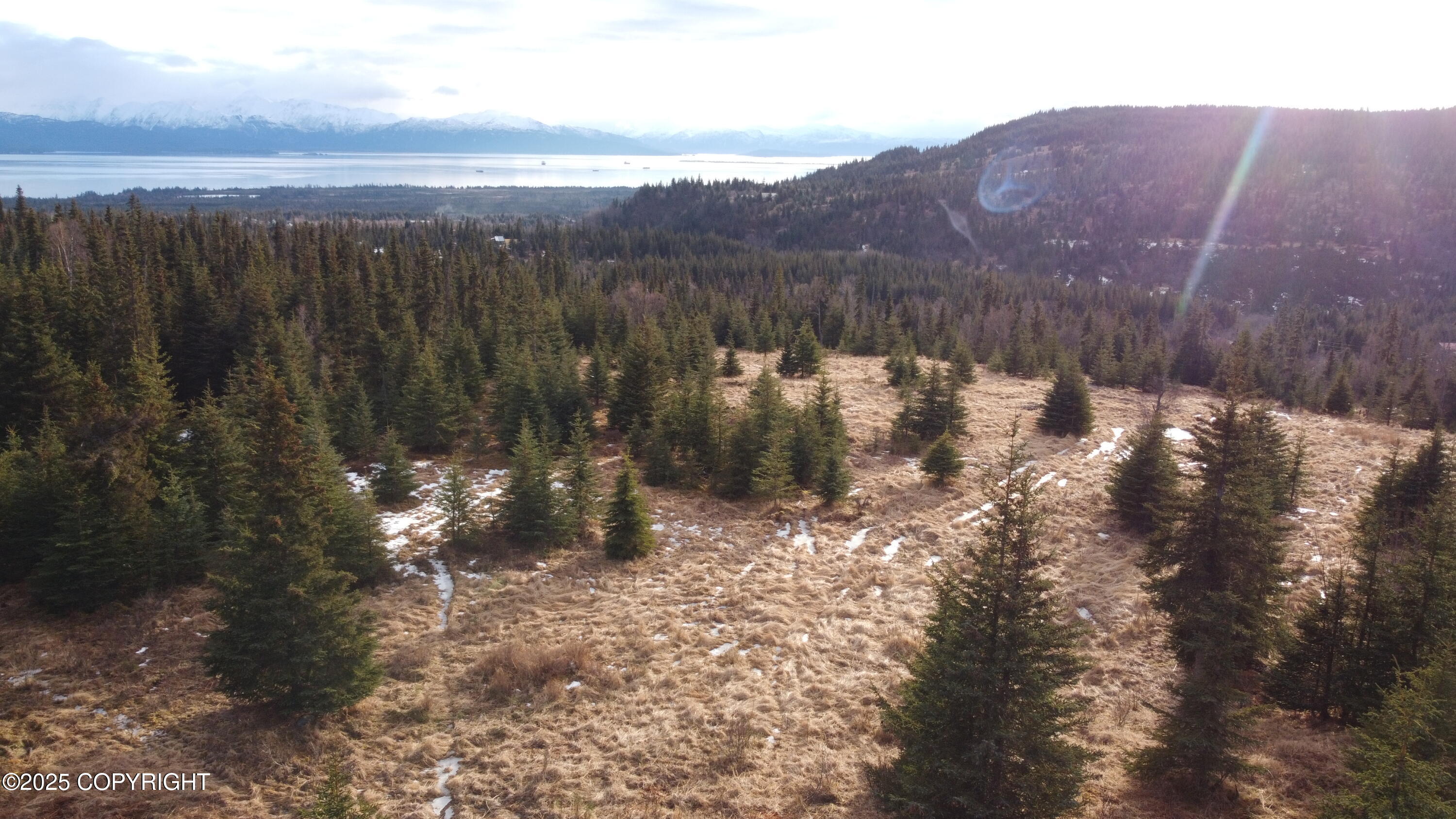 55675 W Benjamin Avenue