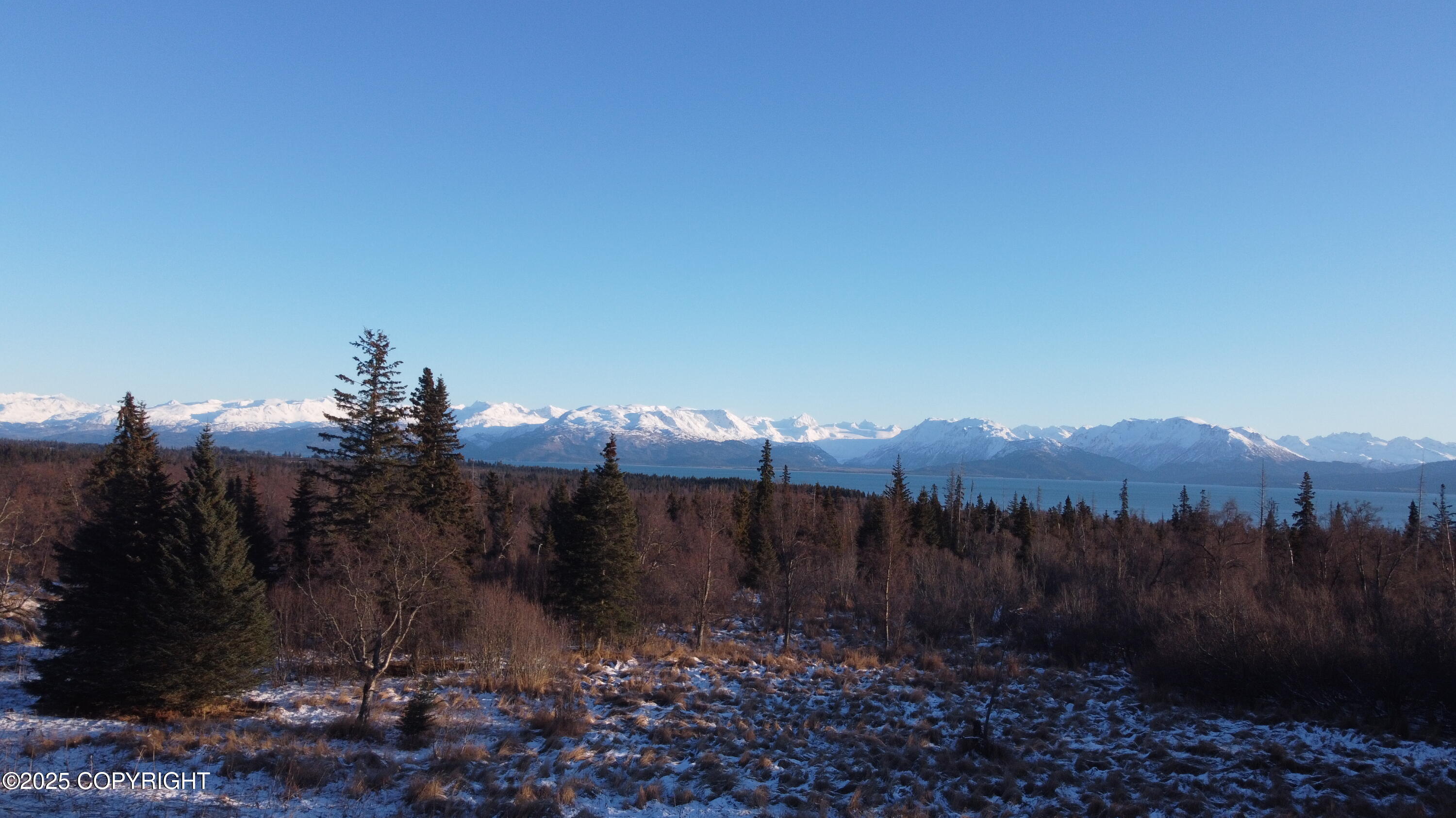 55675 W Benjamin Avenue