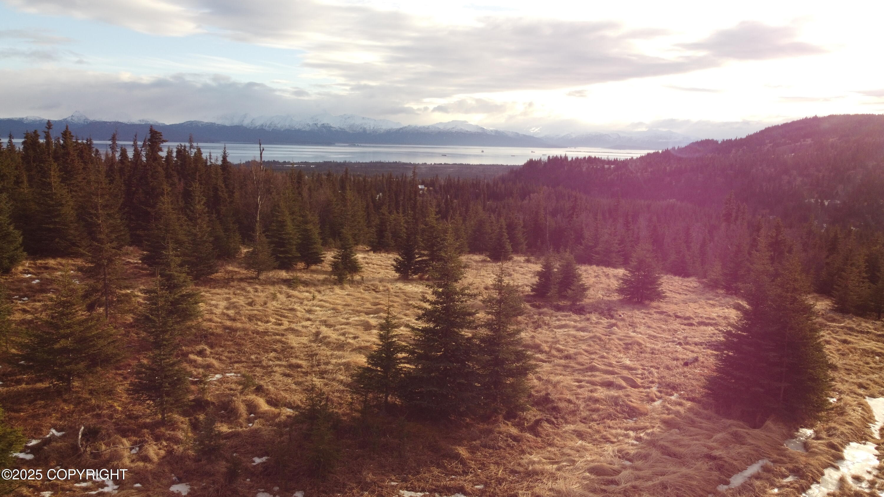 55675 W Benjamin Avenue