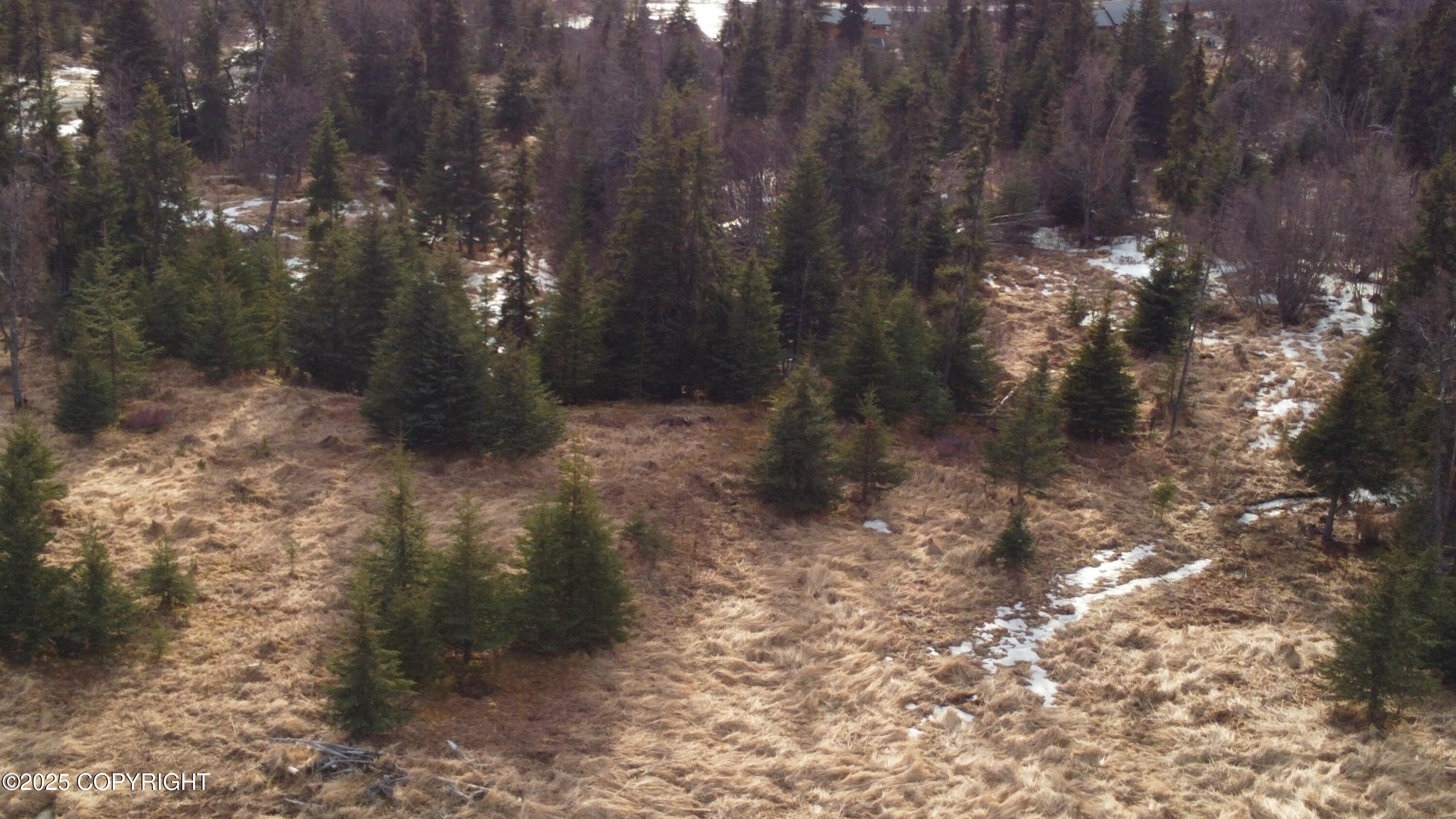 55675 W Benjamin Avenue