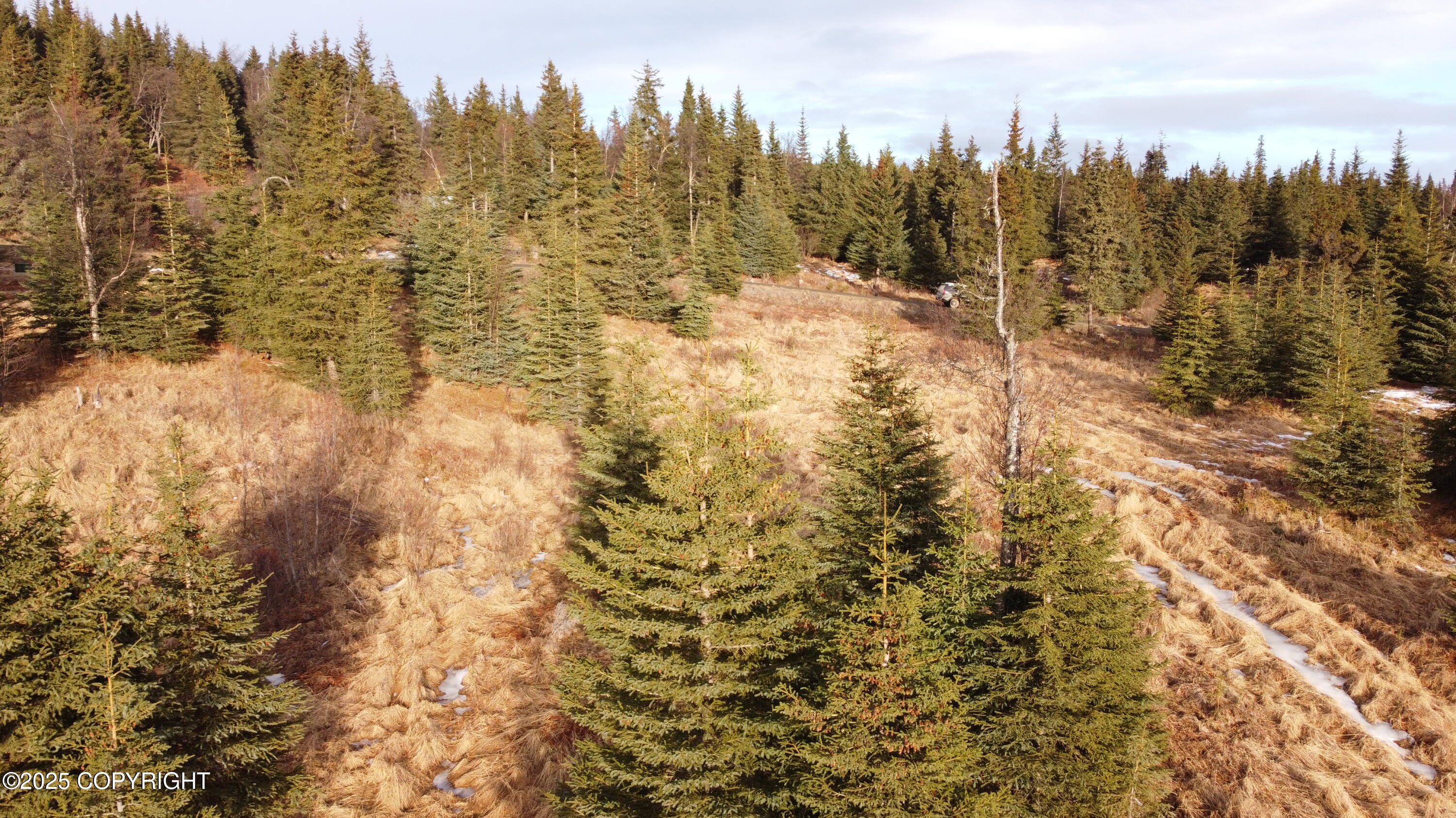 55675 W Benjamin Avenue