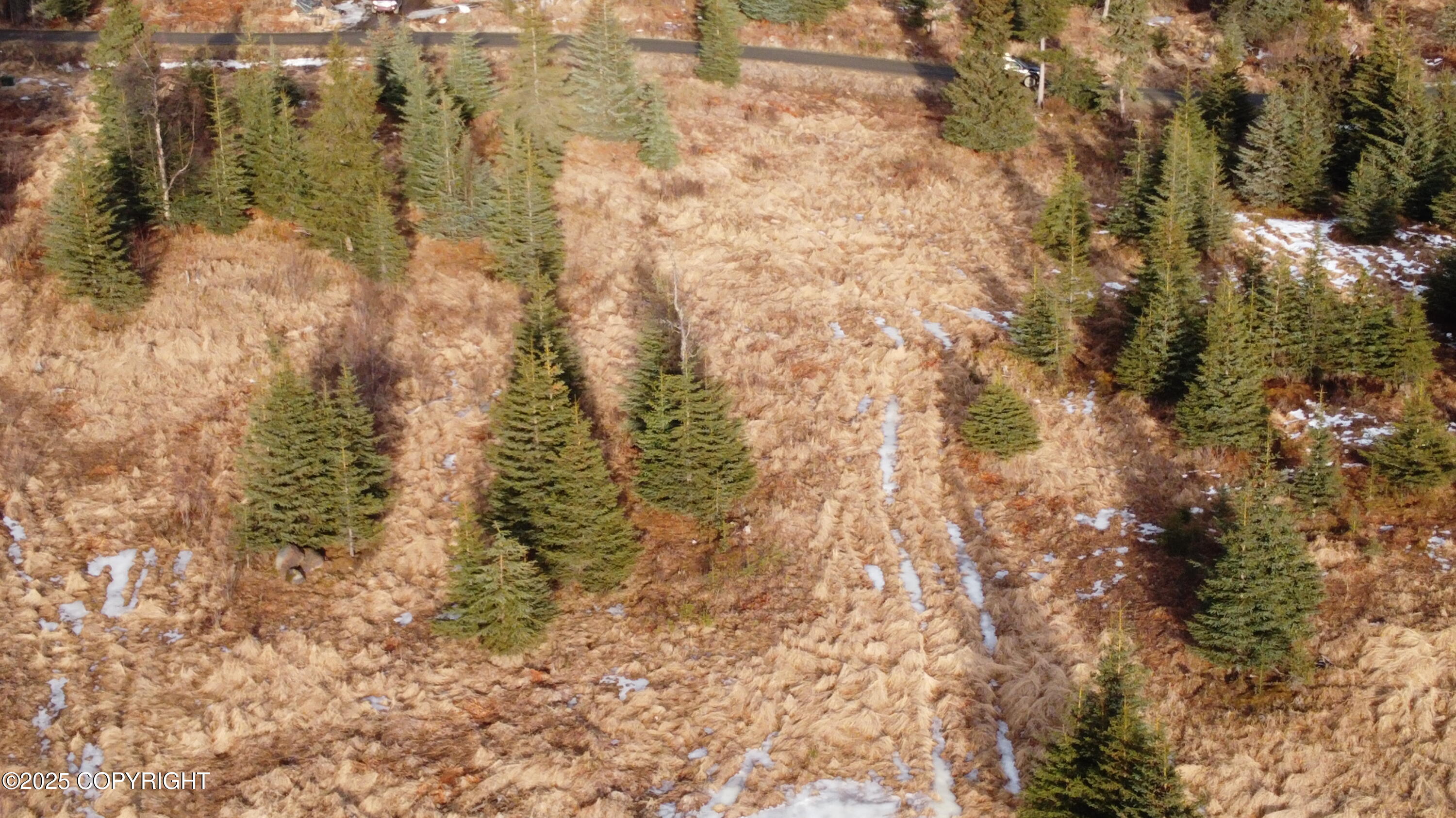 55675 W Benjamin Avenue