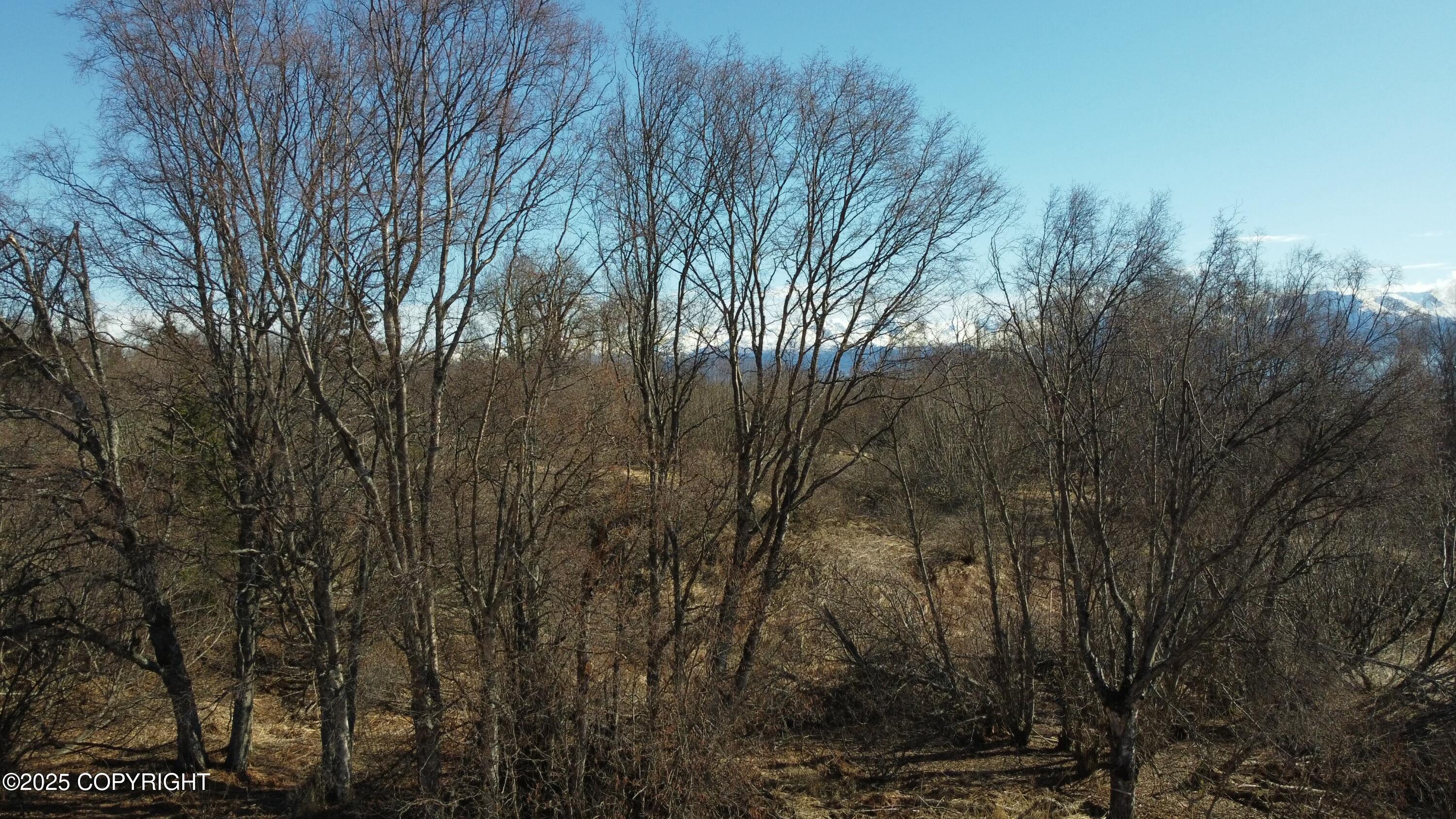 41110 Wandering Street