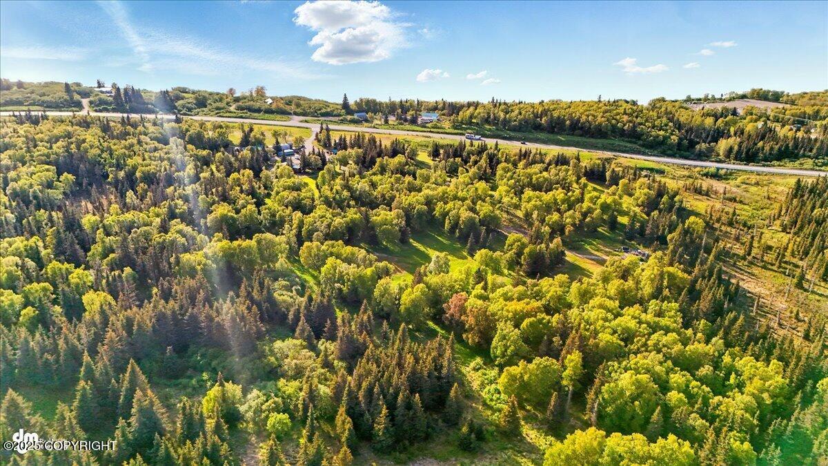 13364 Sterling Highway