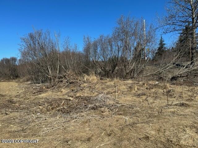 1429 Sterling Highway