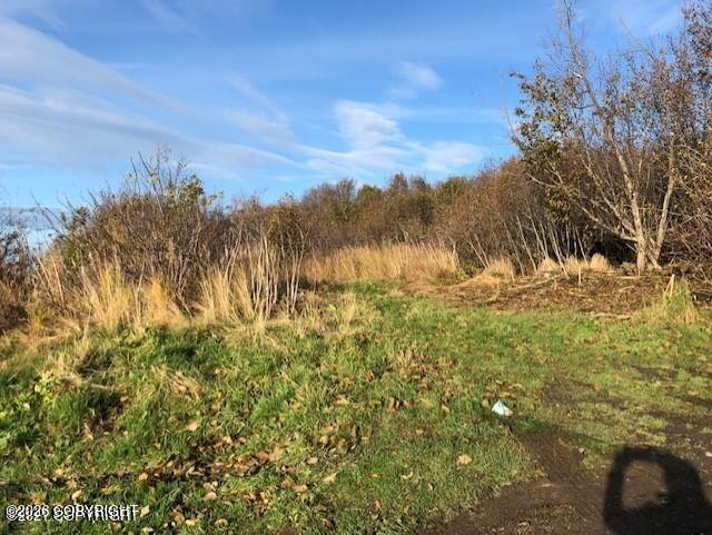 1429 Sterling Highway