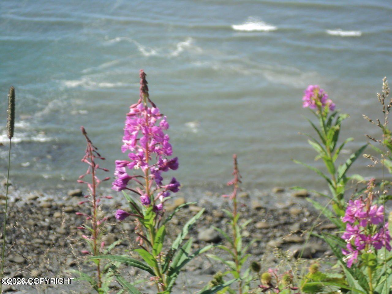 1429 Sterling Highway