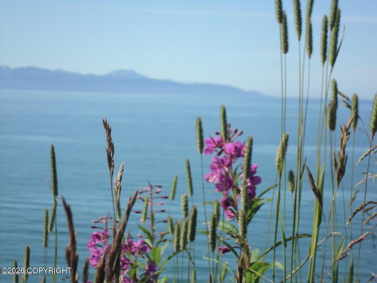 1505 Sterling Highway