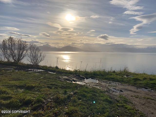 1505 Sterling Highway