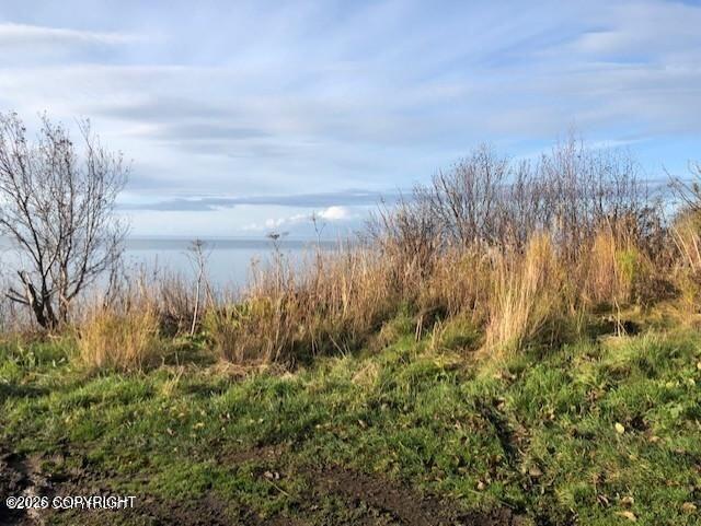 1505 Sterling Highway