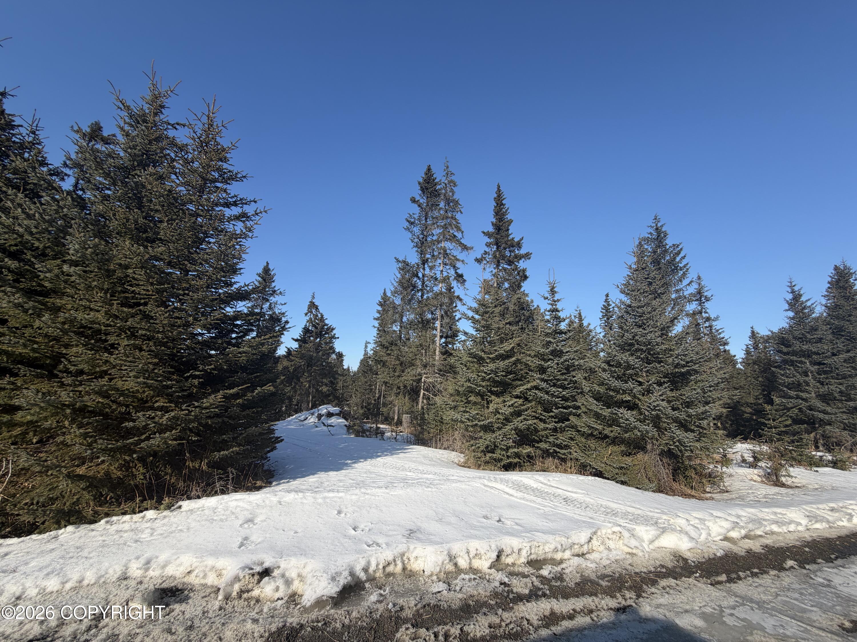 35048 Spruce Vw Street