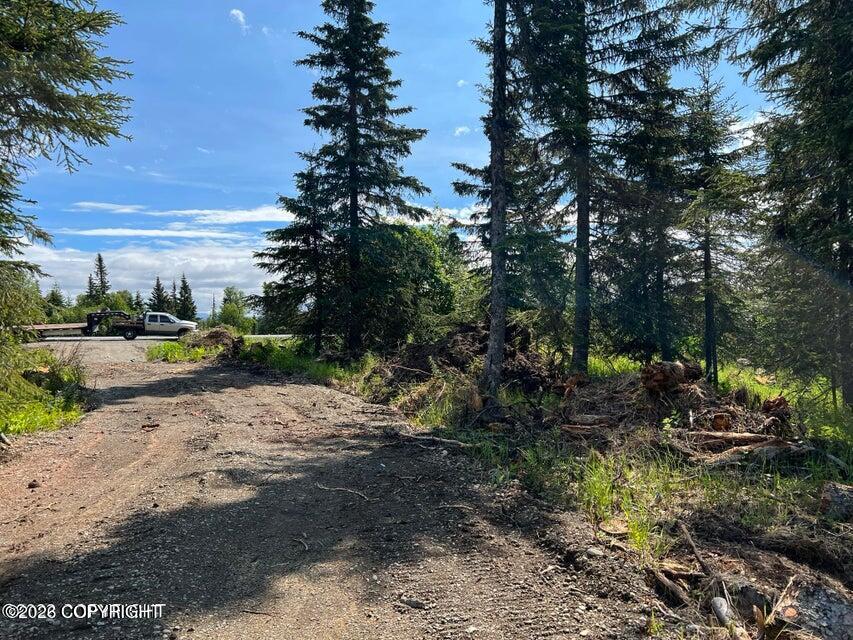 14185 Sterling Highway