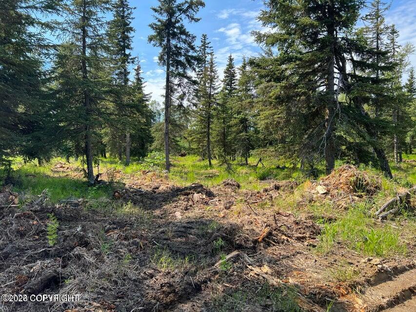 14185 Sterling Highway