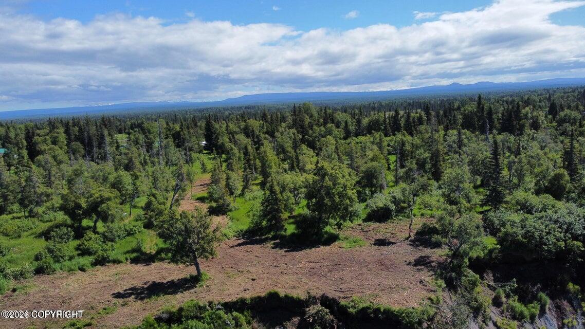 14185 Sterling Highway