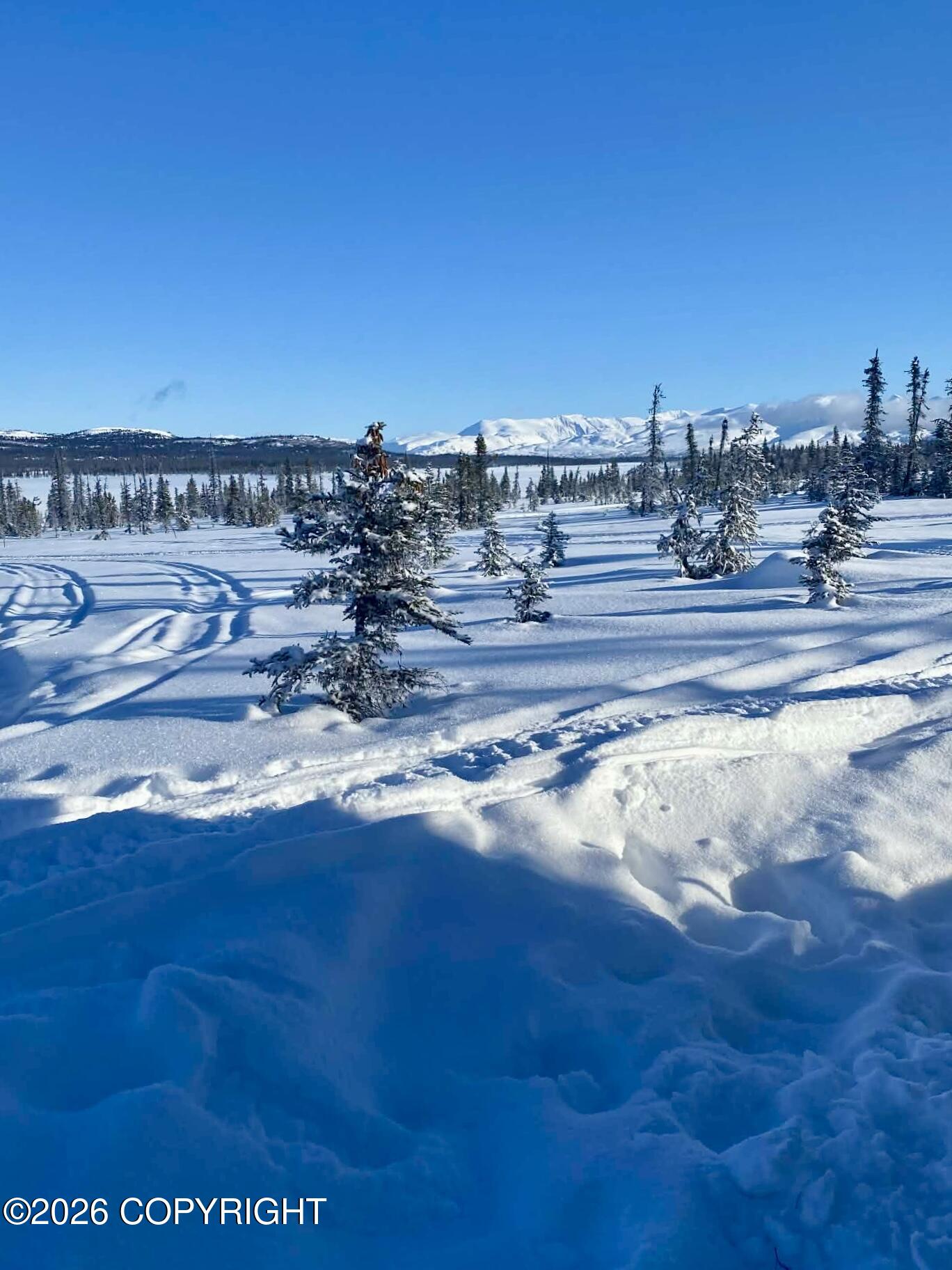 45589 CARIBOU LAKE REM SW