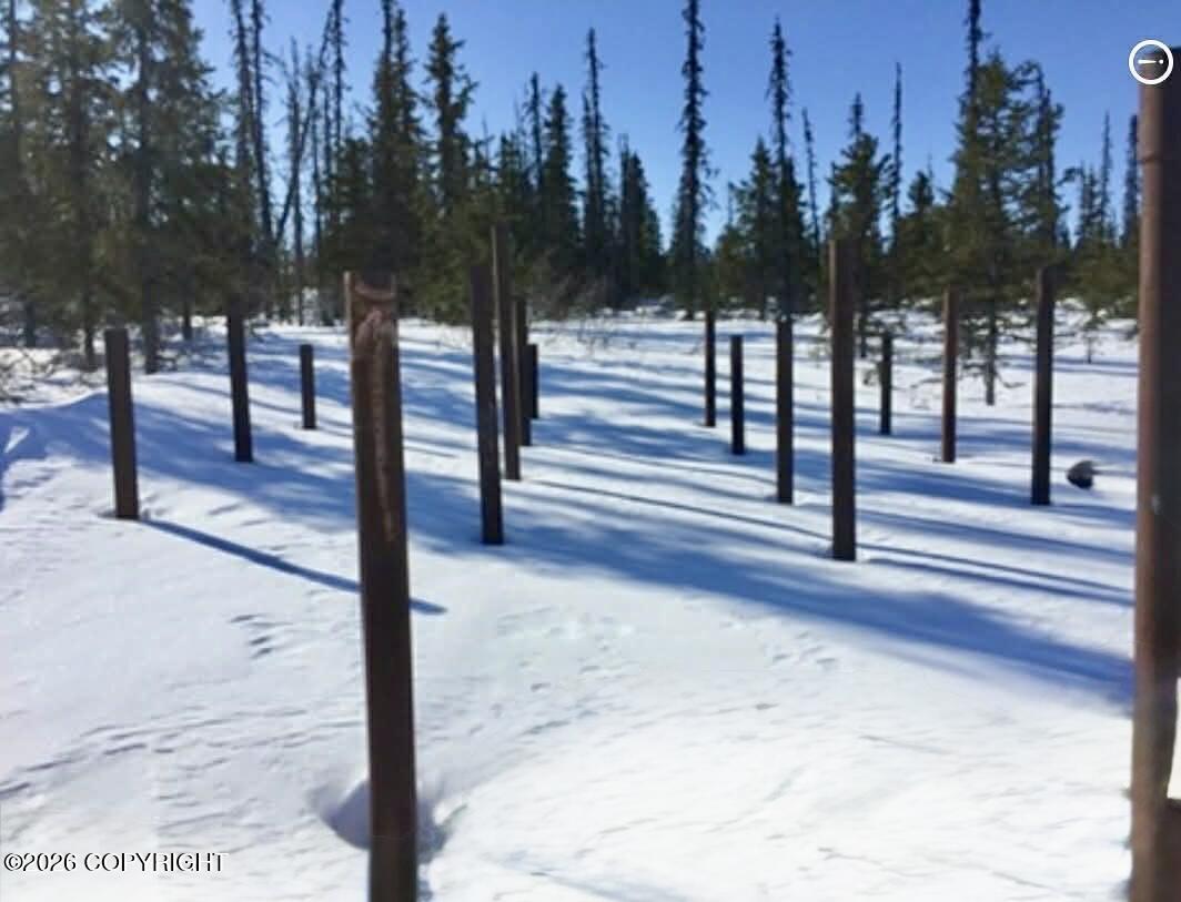 45589 CARIBOU LAKE REM SW