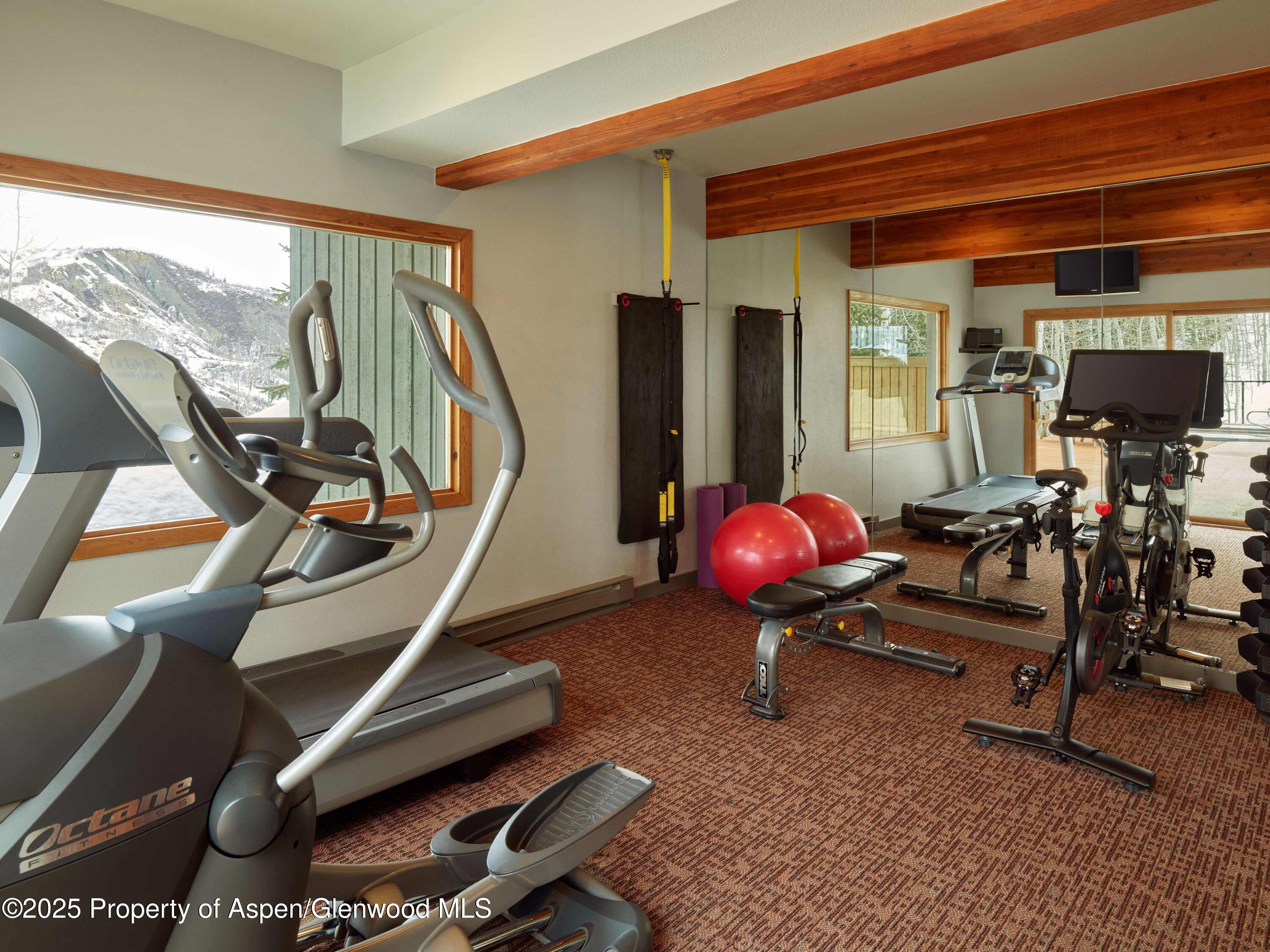 855 CARRIAGE Way, 103, Snowmass Village Unit: 103